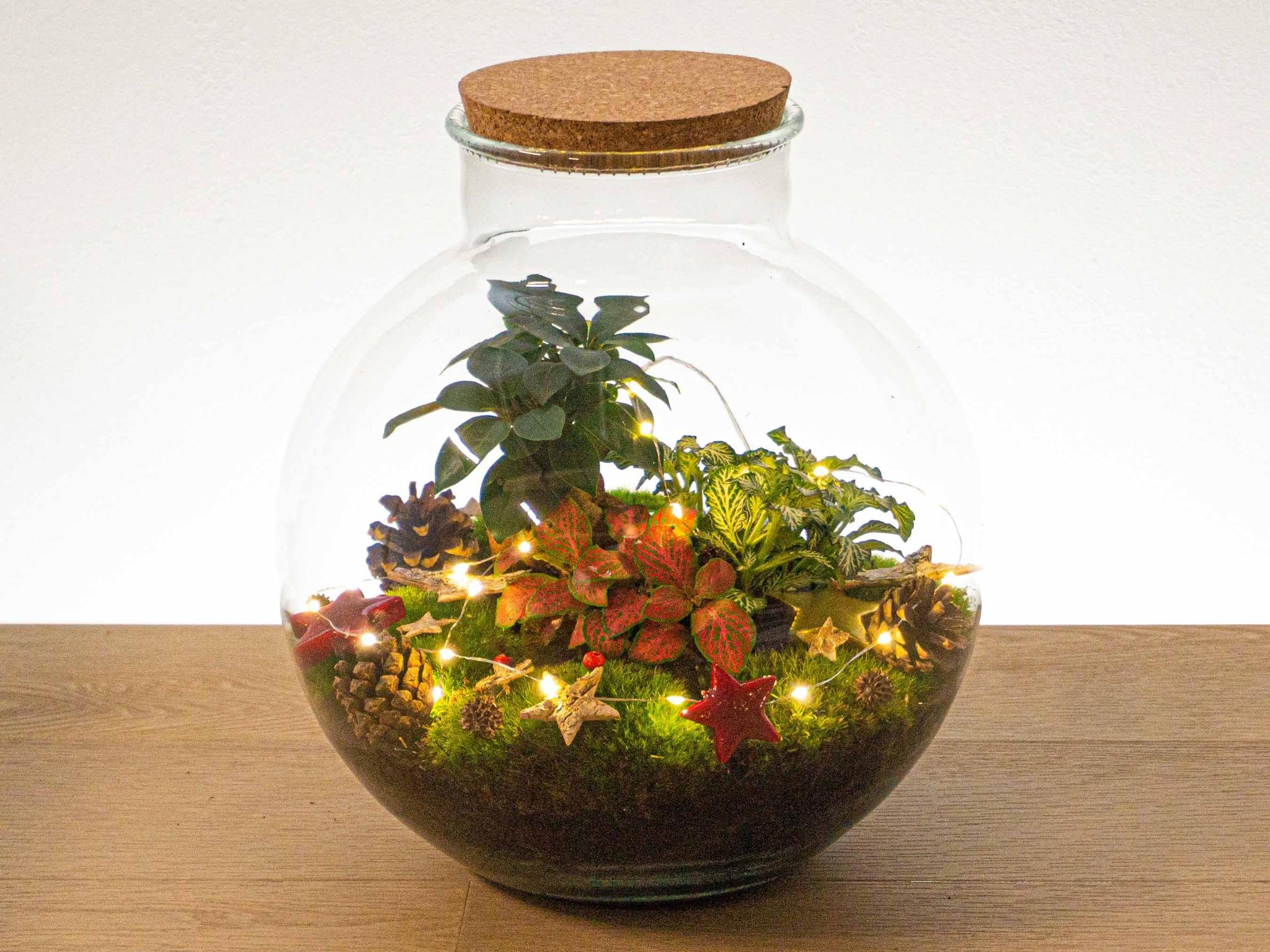 Weihnachts-Terrarium-Dekorationsset!