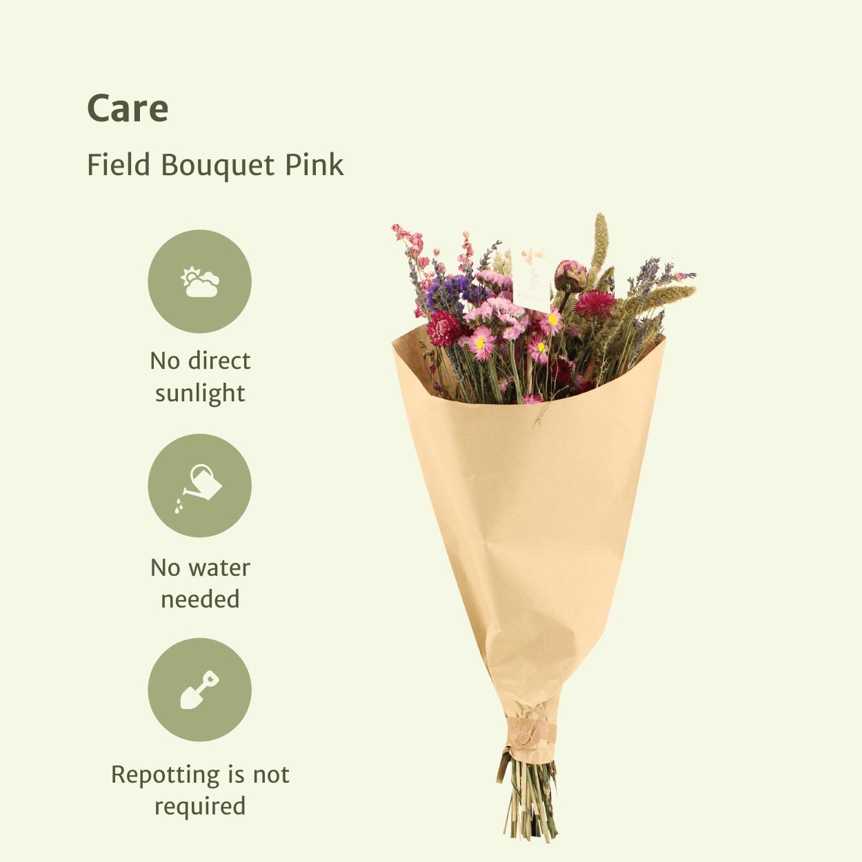 Trockenblumen - Feldstrauß Rosa - Ø25 - ↨60cm