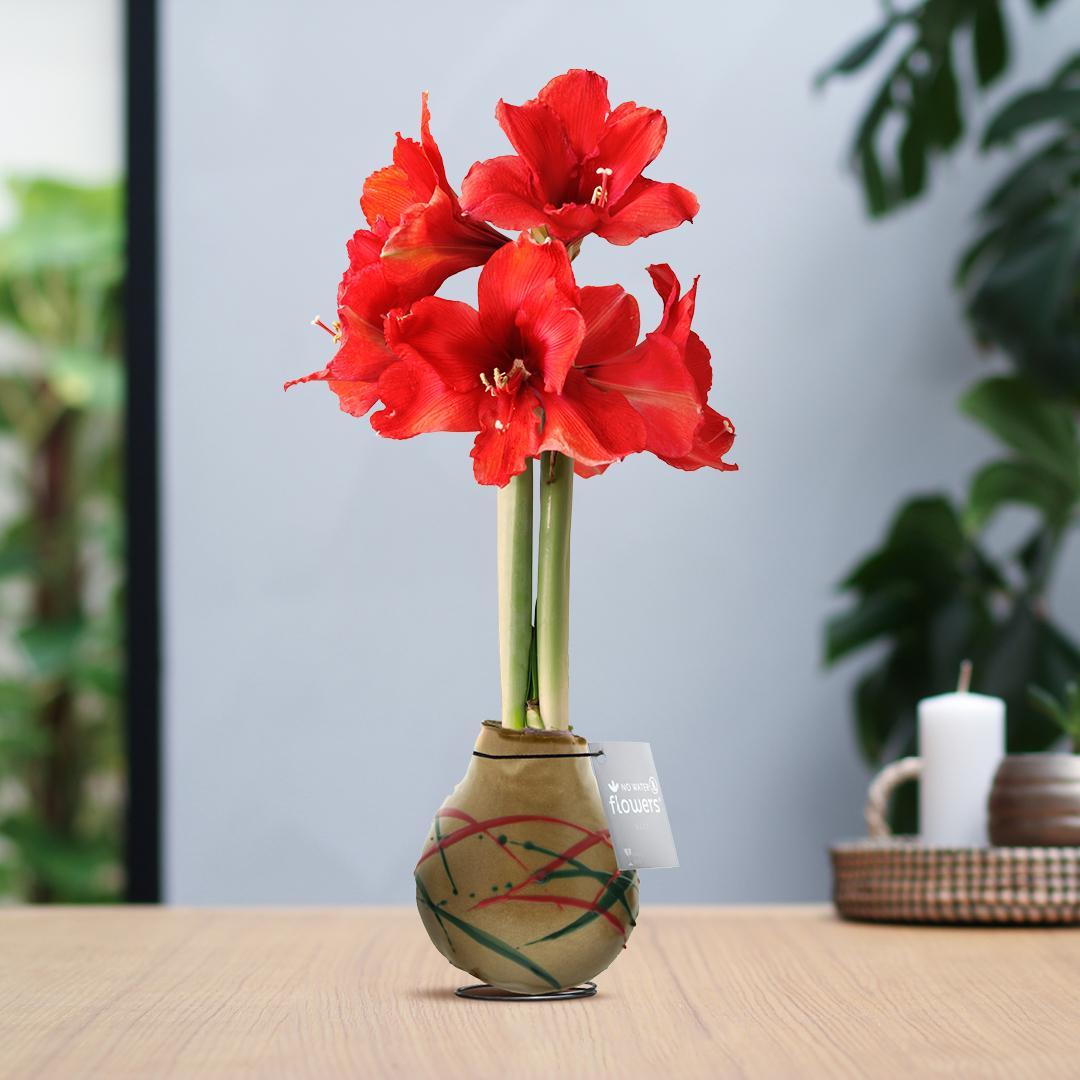 No Water Flowers® (wax amaryllis) | Waxz® Art Munch - Gold + Red flower