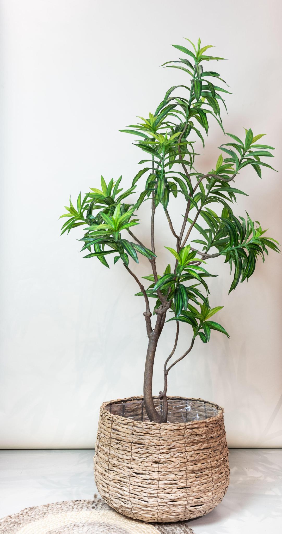 Kunstpflanze - Dracaena - Drachenbaum - 190 cm