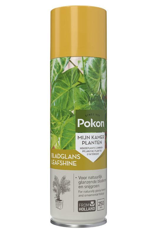 Pokon Blattglanz 250 ml