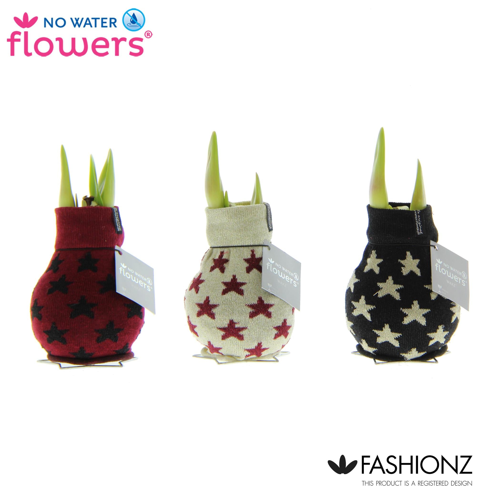 No Water Flowers Fashionz Patternz Star - 3 Stück - Ø7 cm - ↕15 cm