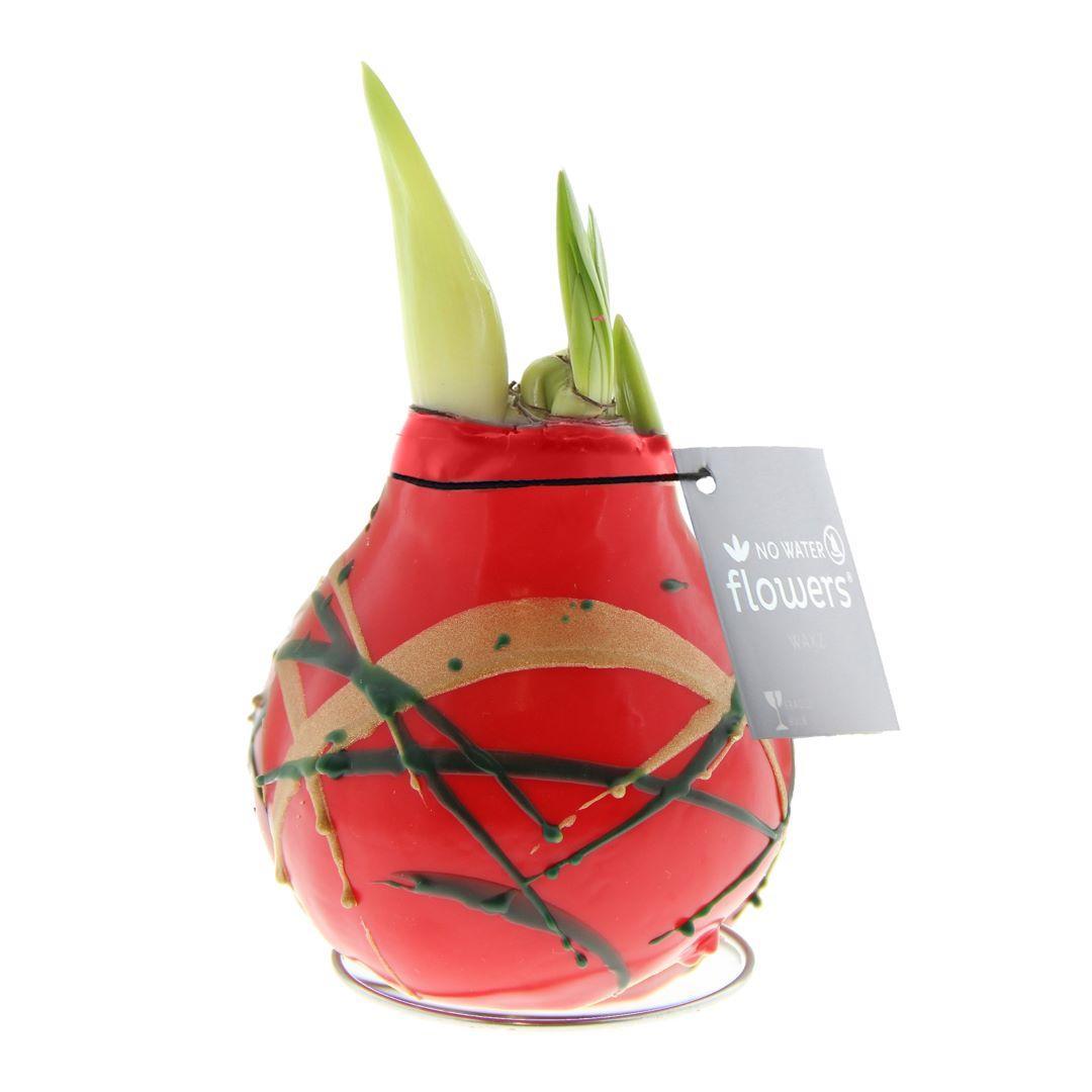 No Water Flowers® (wax amaryllis) | Waxz® Art Munch - Red + Red flower