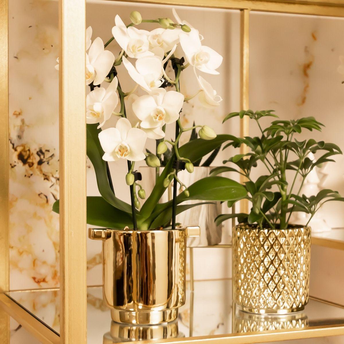 Kolibrie Thuis | Metallic Diamond Bloempot - Gouden Keramiek Decoratieve Pot Ø9cm