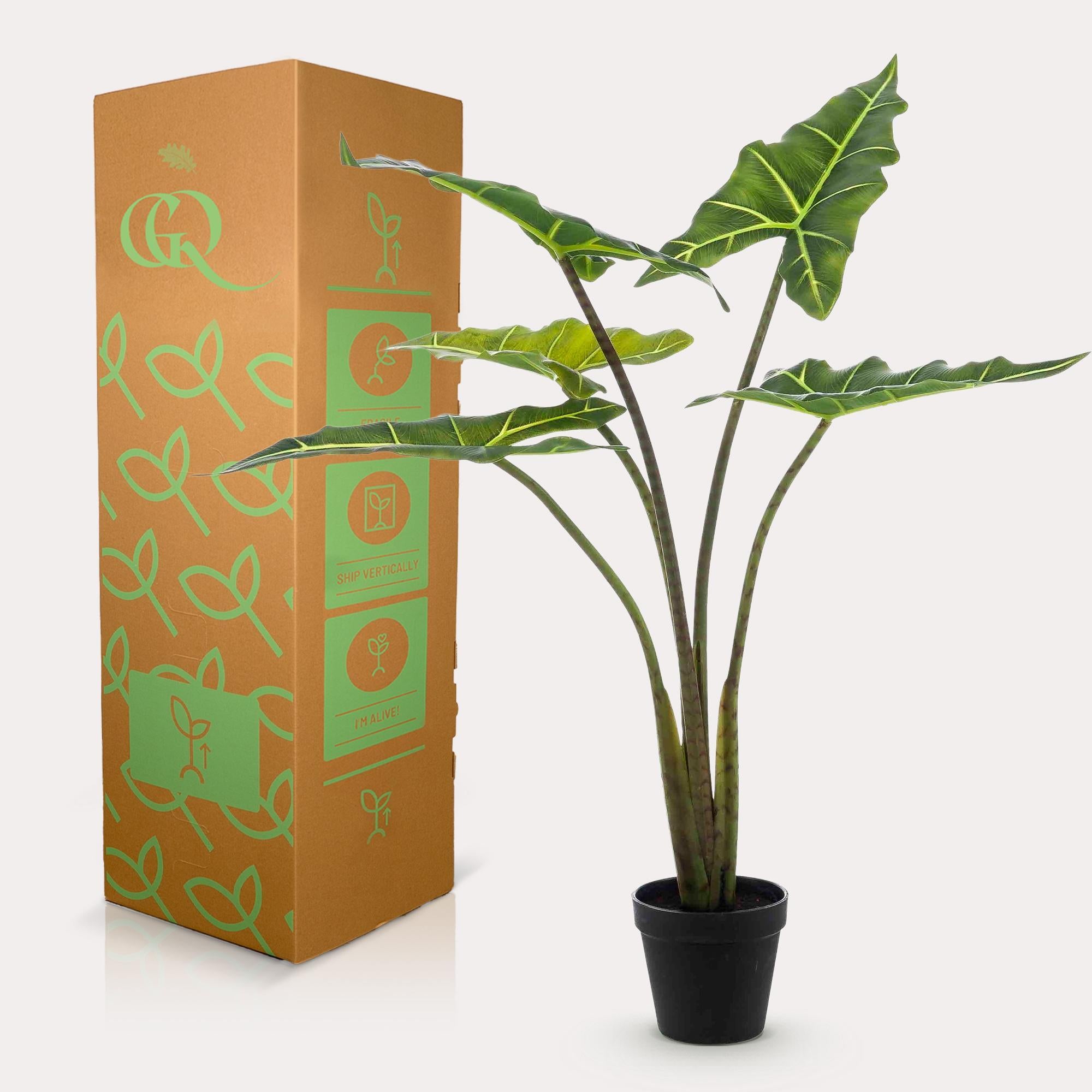 Kunstpflanze - Alocasia Frydek - 80 cm