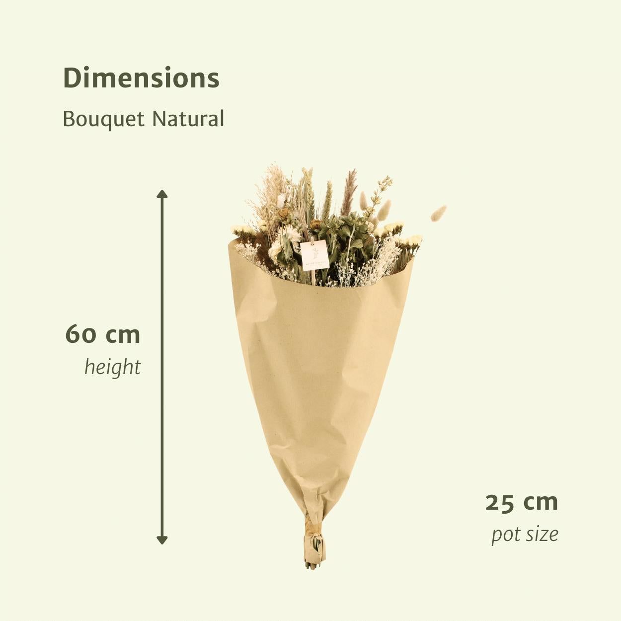 Trockenblumen - Feldstrauß Natur - Ø25 - ↨60cm