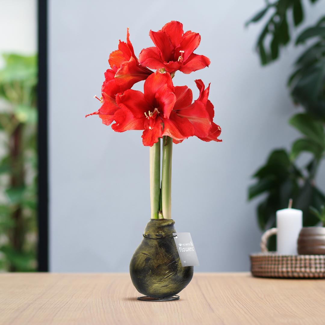 No Water Flowers® (wax amaryllis) | Waxz® Antiquez - Gold + Red flower