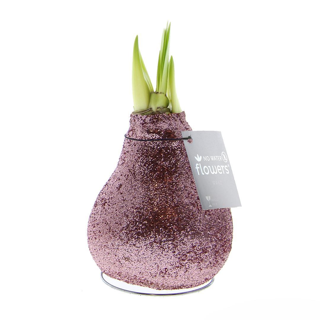 No Water Flowers® (wax amaryllis) | Glitterz® - Rosé + Red flower