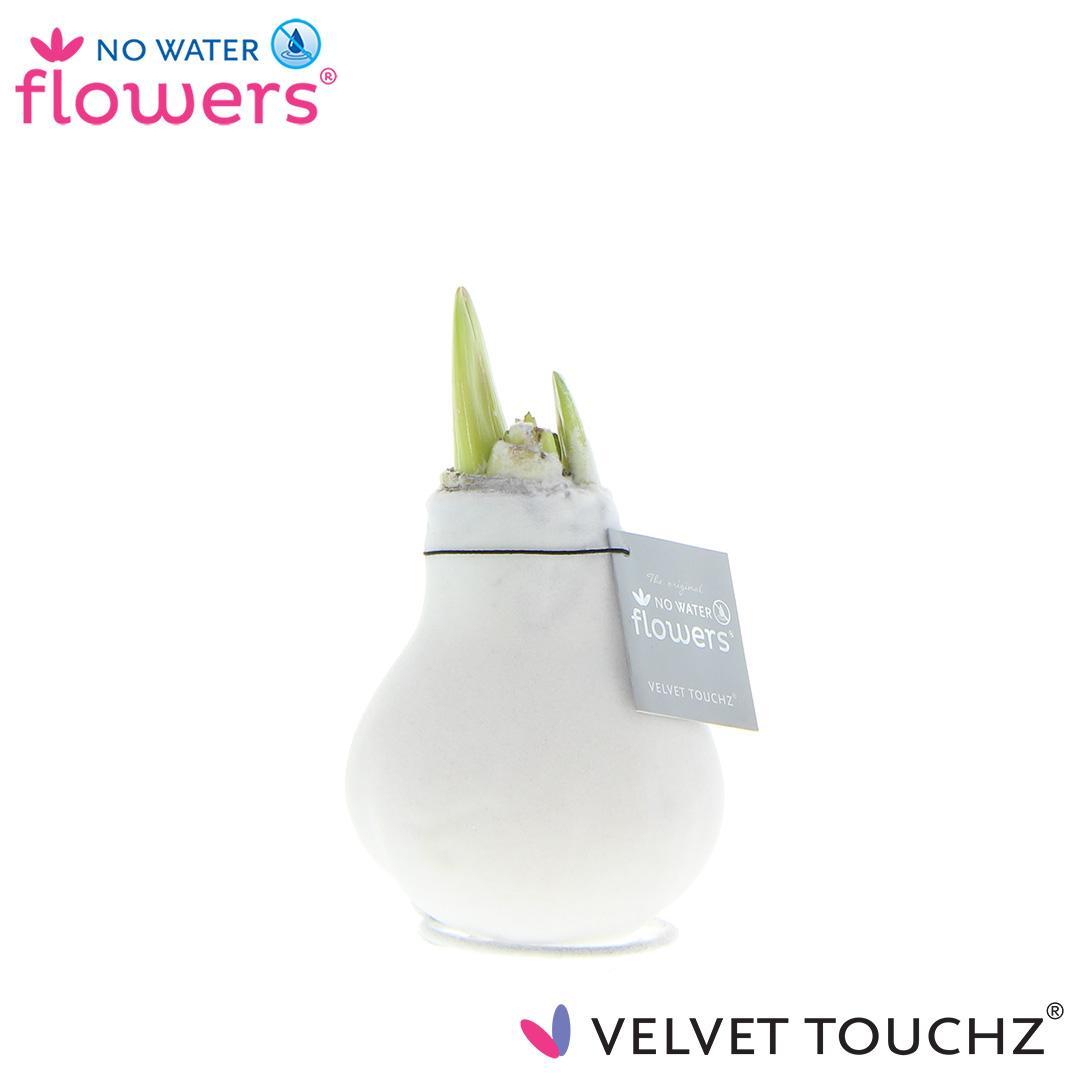 No Water Flowers Velvet Touchz® White - ↕15cm