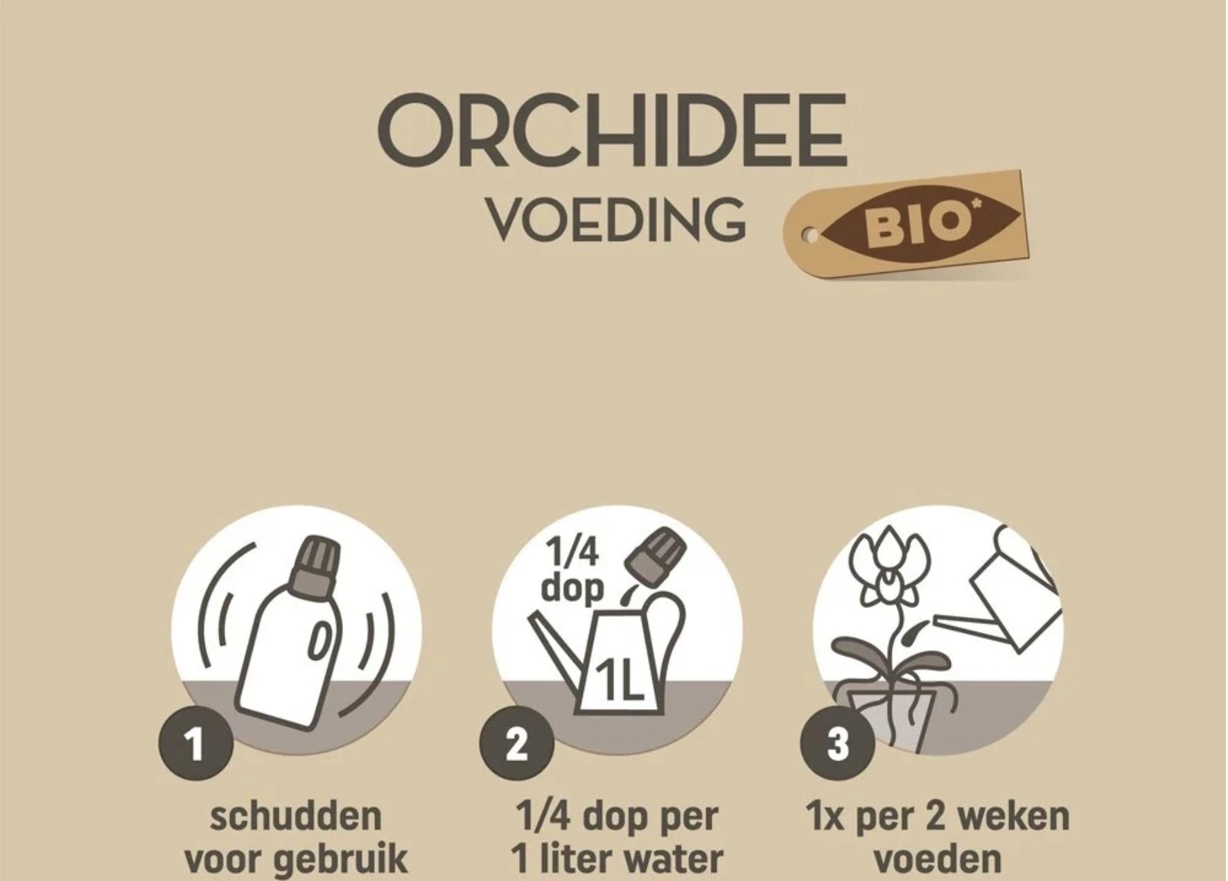 Pokon bio Orchideenfutter 250 ml