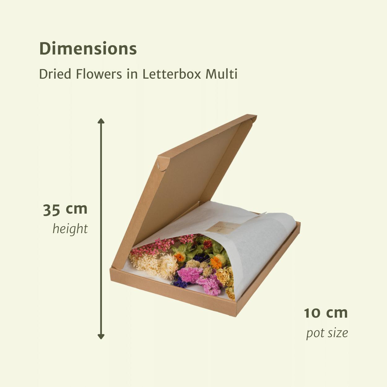 Trockenblumen - Briefkasten Multi - Multi