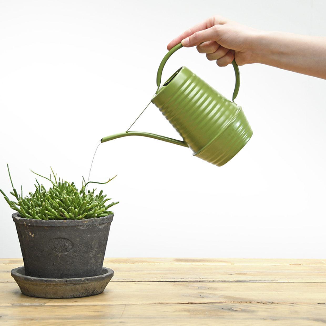 Gießkanne grün - Bloemengieter  Zink  1 liter  Groen