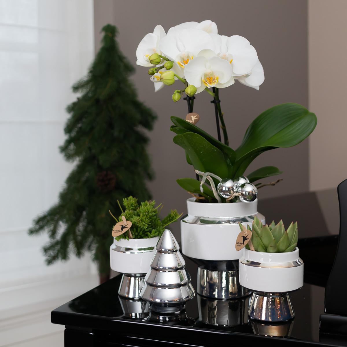 Kolibrie Thuis | Le Chic bloempot - Witte decoratieve keramiek pot met zilveren details - Ø6cm