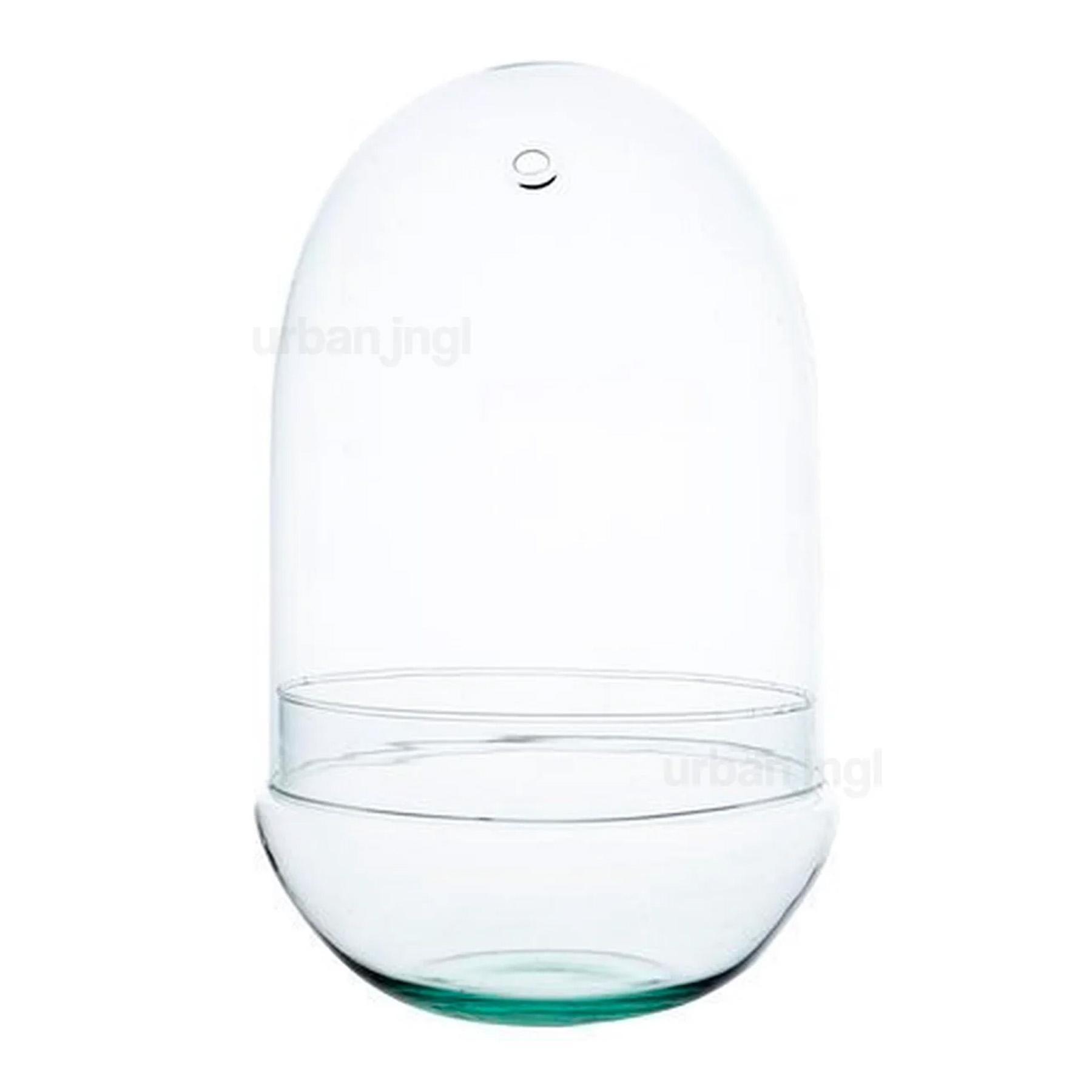 Eier XL Terrarienflasche – Halbgeschlossenes Terrarium ↑ 30 cm – Modell: Egg XLr Space.