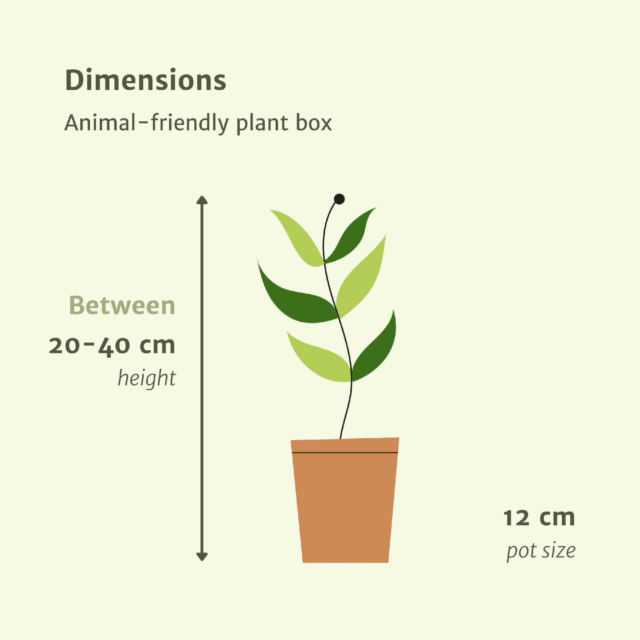 Diervriendelijke plantenbak - 4 stuks - Ø12cm - ↕20-40cm