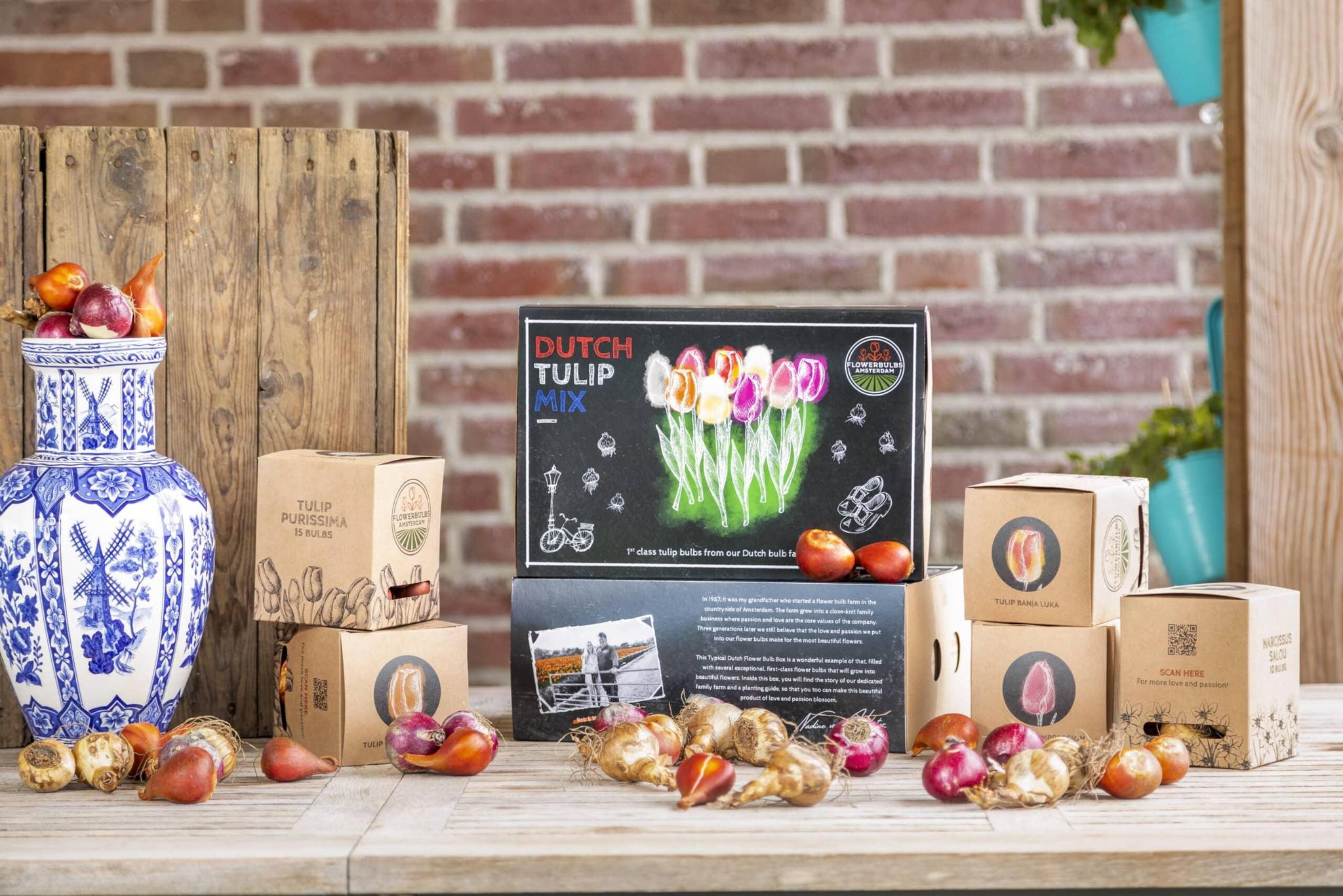 Tulpen - Dutch Tulpen Mix - Luxusbox groß, 90 Blumenzwiebeln für 2,5 qm Blumenpracht - Gr��e 12+