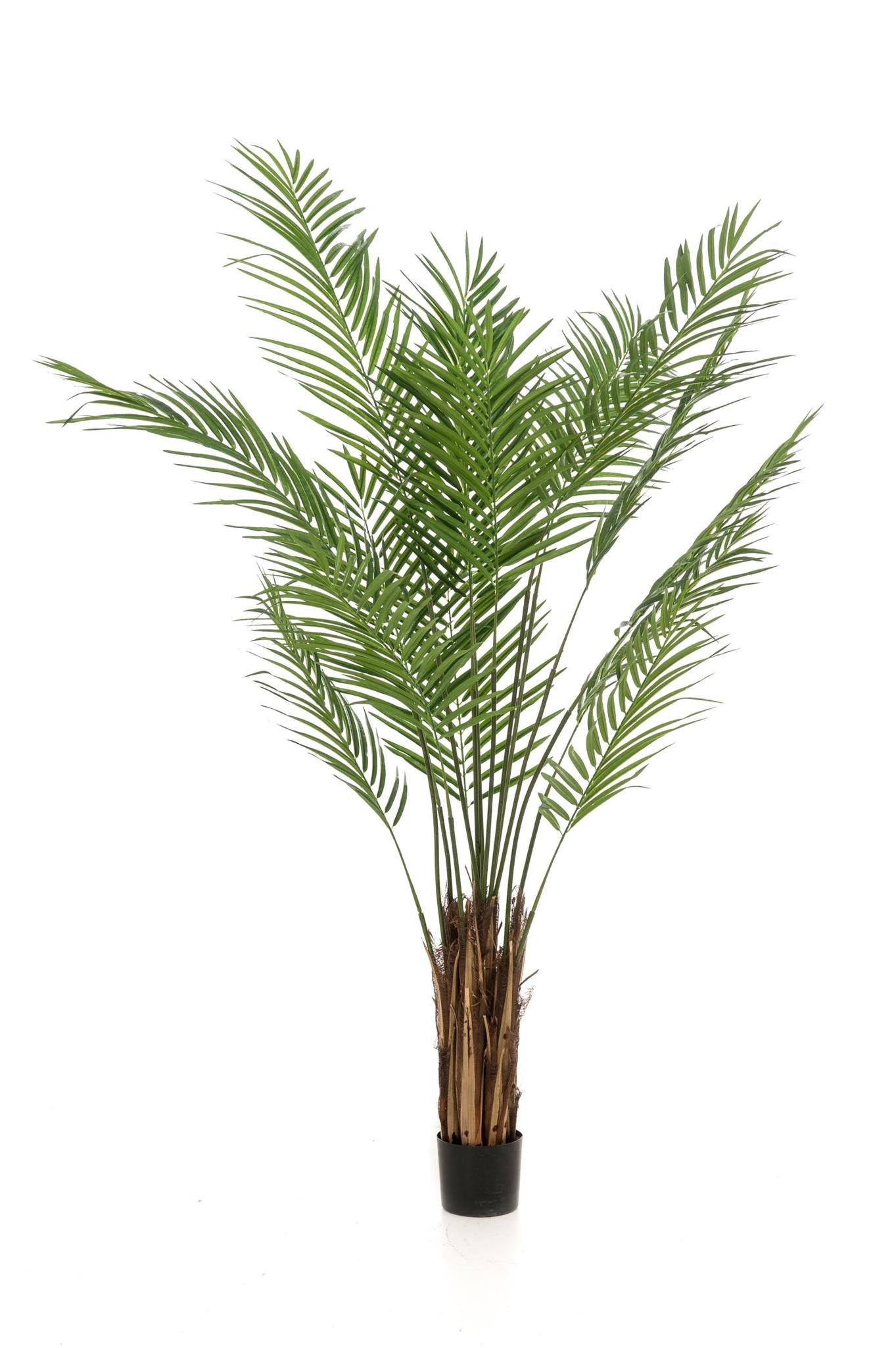 Kunstpflanze - Areca Lutescens - Goldpalme - 180 cm