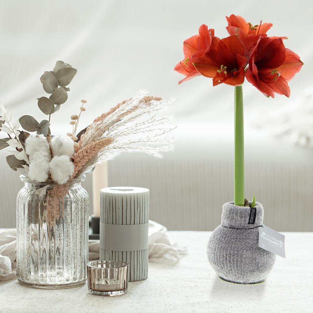 No Water Flowers® (wax amaryllis) | Fashionz Cozy Fluffy - Grey + Red flower