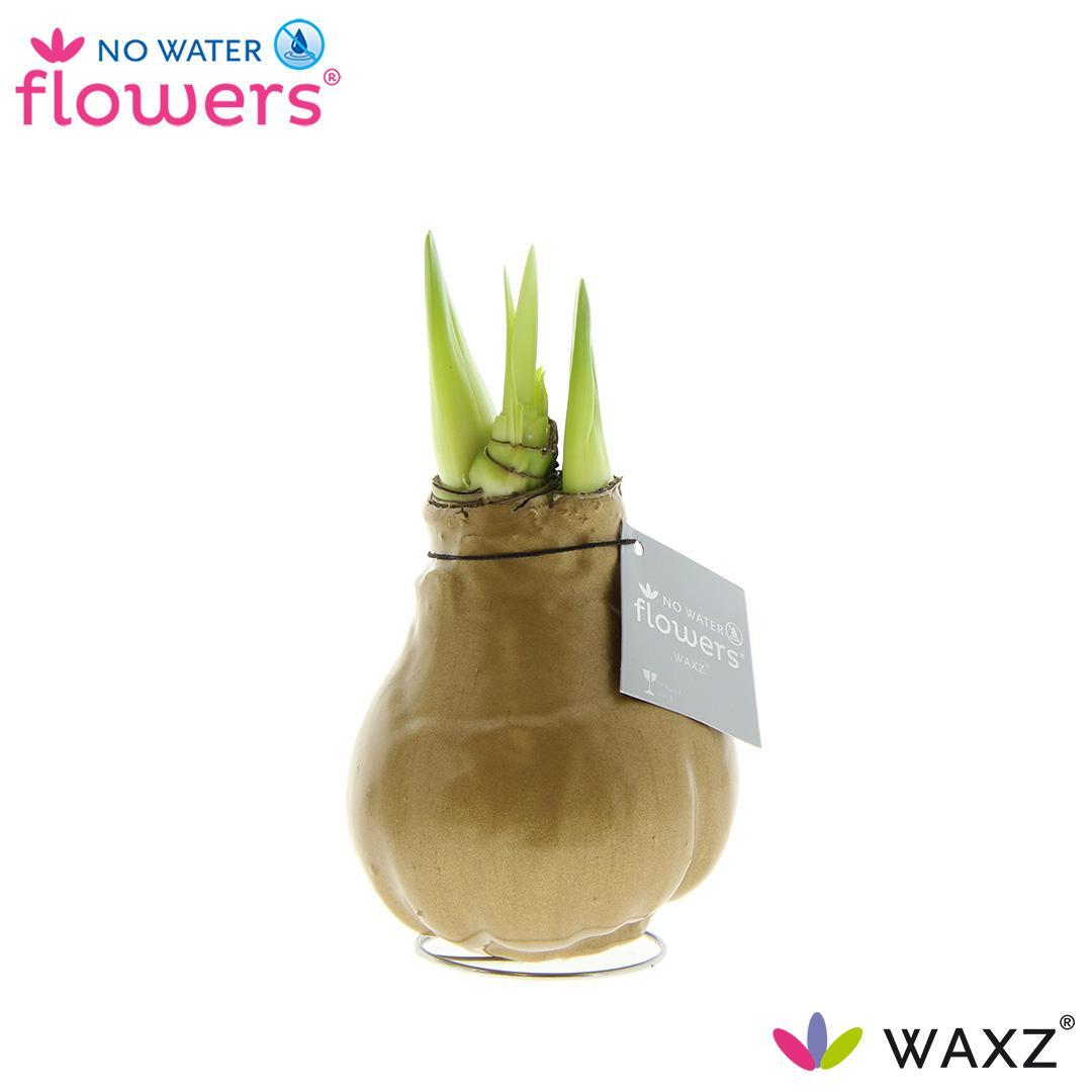 No Water Flowers Waxz® Metallic Gold - ↕15cm