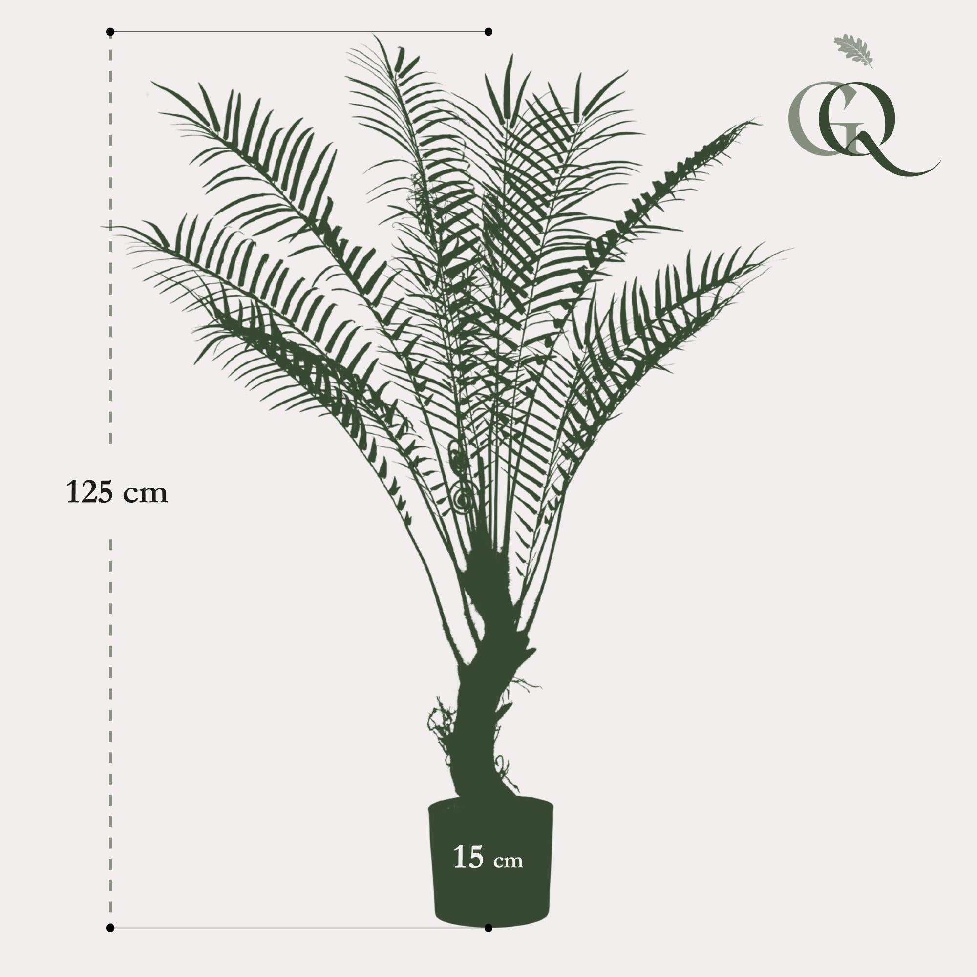 Künstliche Pflanze - Baumfarn - x15 -1 25cm