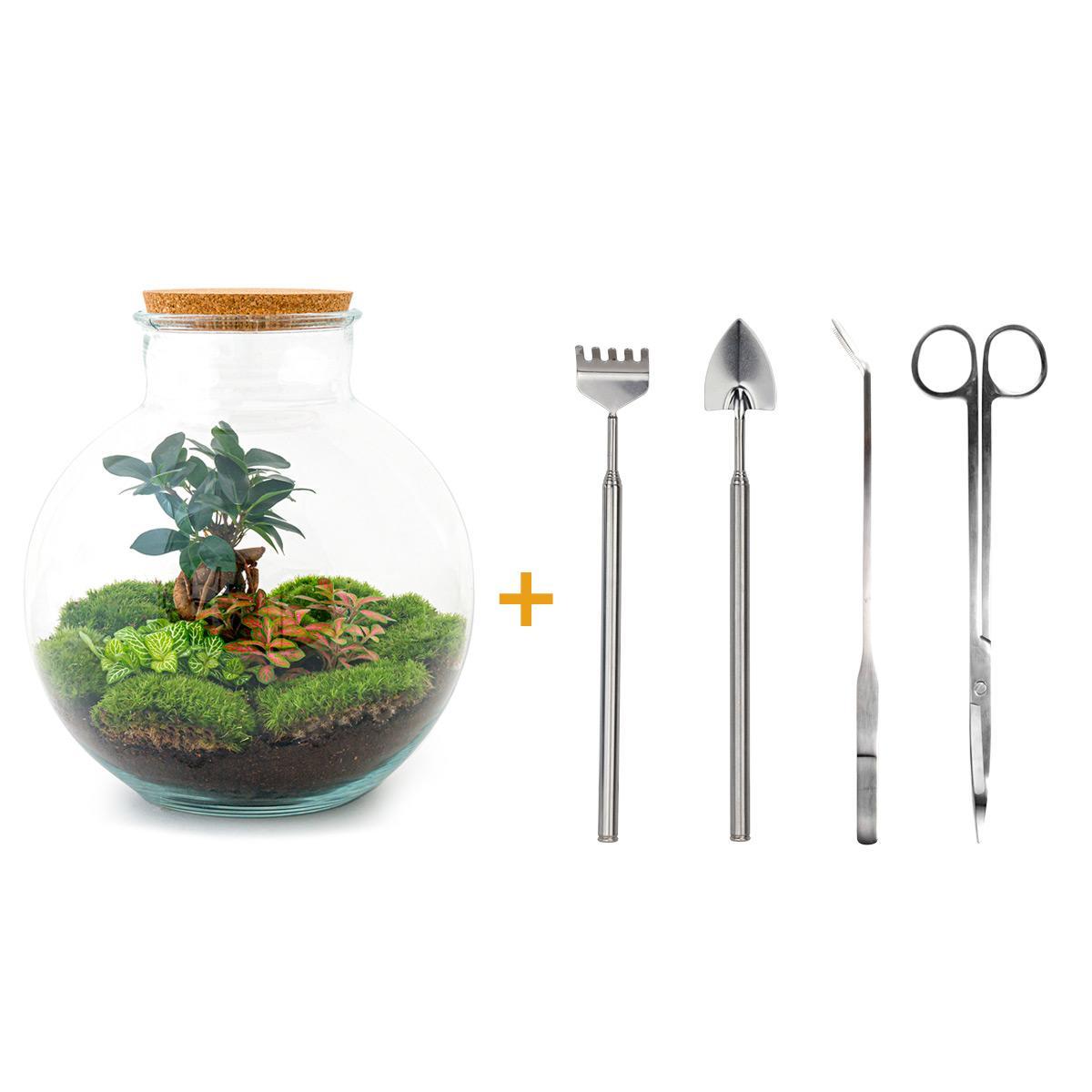 Bottle Garden - Bolder Bob Bonsai - ↕ 30 cm - Hark + Schop + Pincet + Schaar