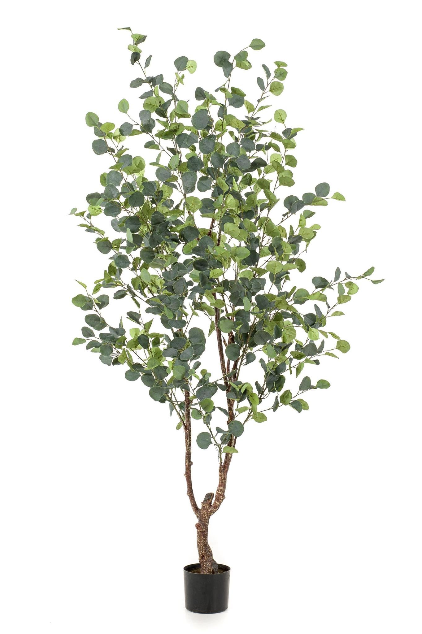 Kunstpflanze - Eucalyptusbaum - Blauer Gummibaum - 180 cm