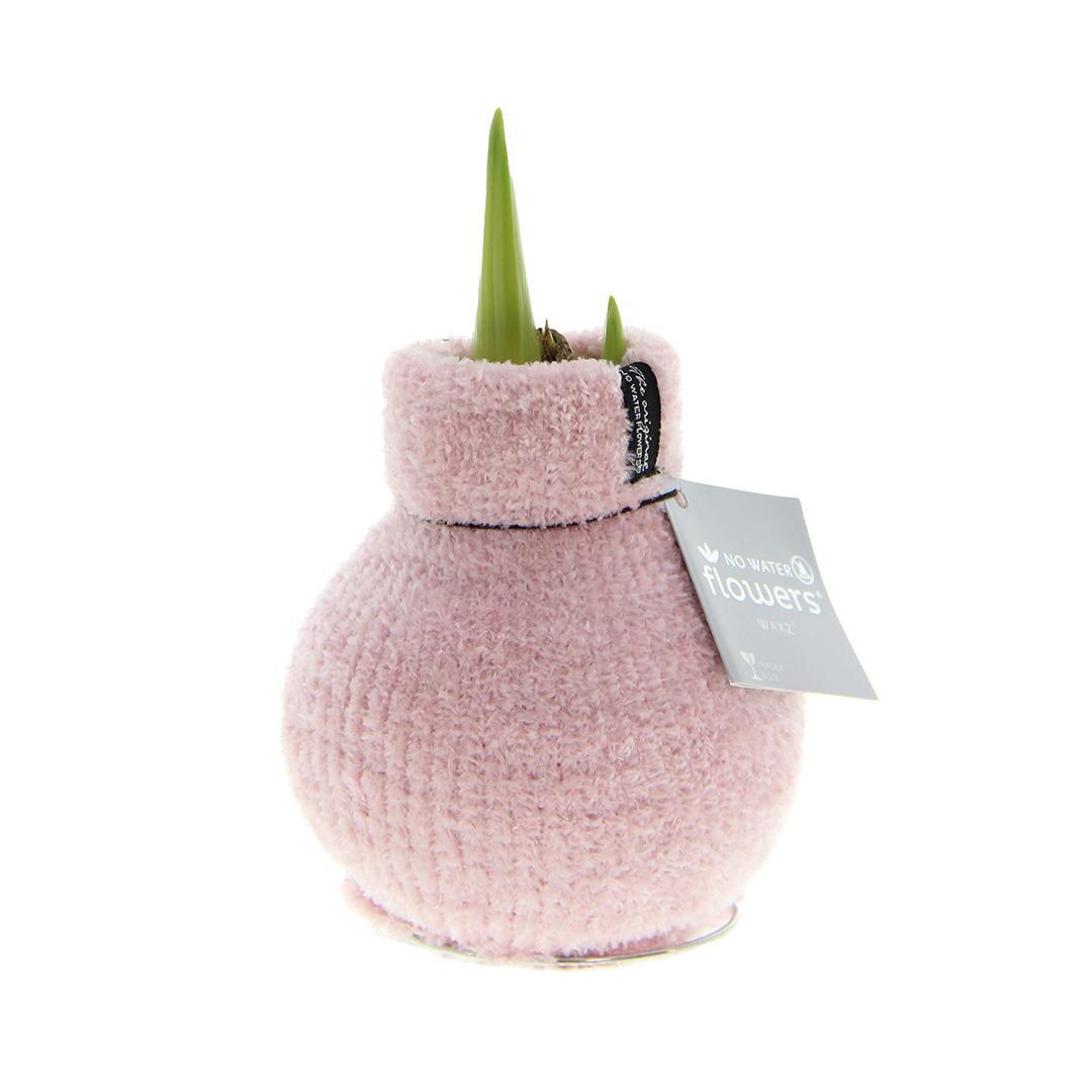 No Water Flowers® (wax amaryllis) | Fashionz Cozy Fluffy - Pink + Red flower