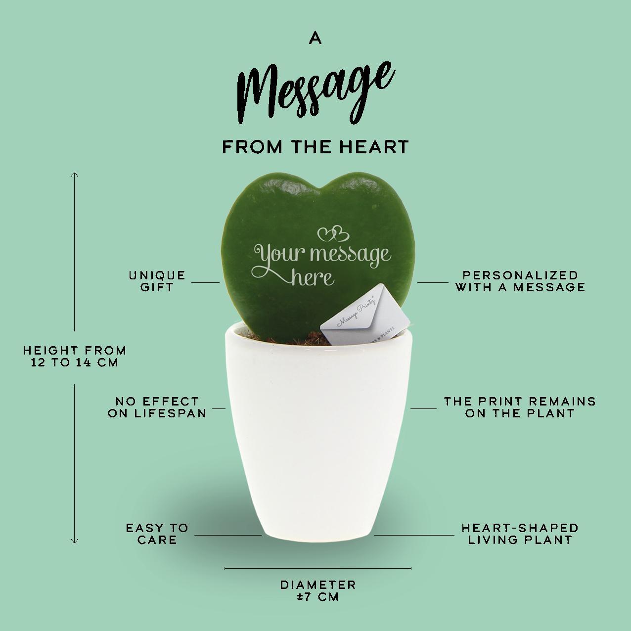 Geschenkgruß - Message Printz® Hoya (Heartplant)| Frohe Weihnachten