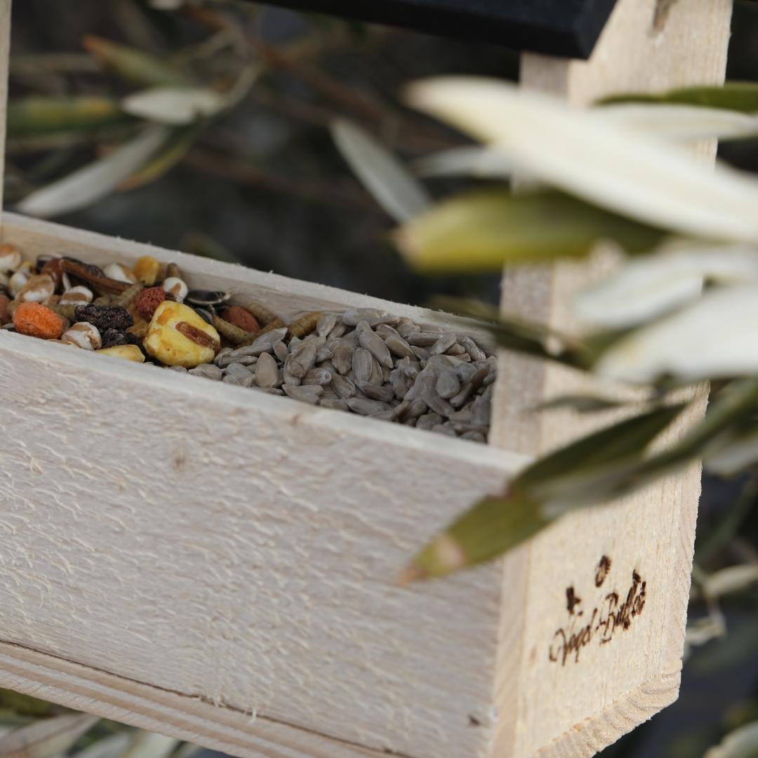 Chalet Futterhäuschen Bird Party Futterautomat inklusive 2 Futtermischungen