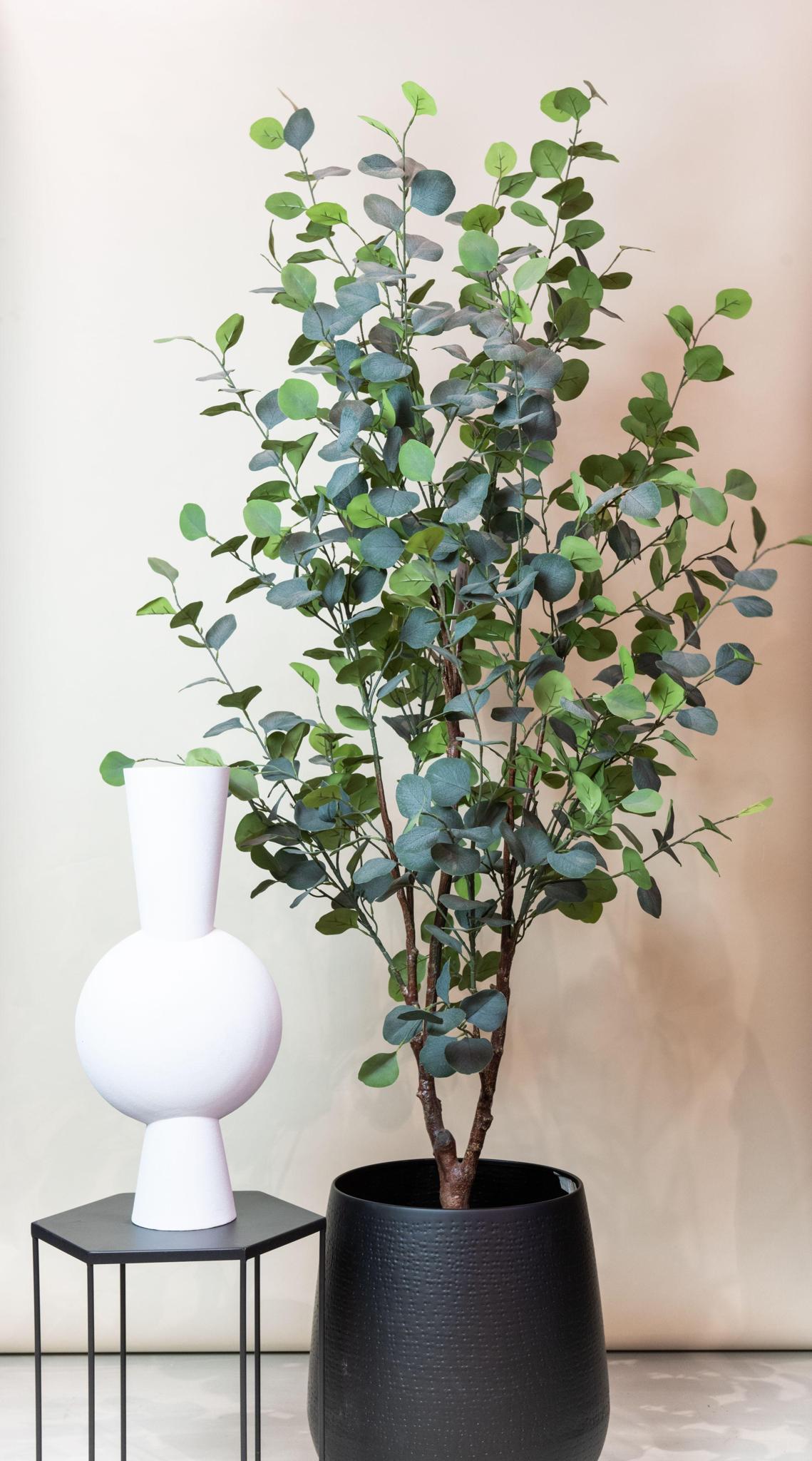 Kunstpflanze - Eucalyptusbaum - Blauer Gummibaum - 180 cm