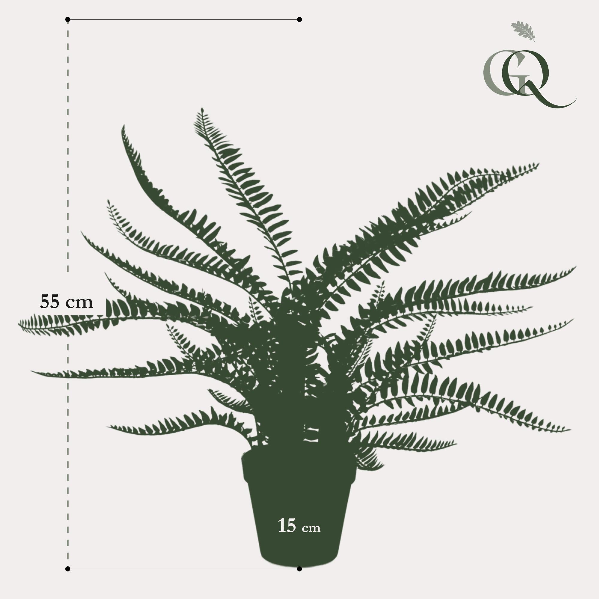 Kunstpflanze - Nephrolepis Exaltata - Boston Farn - 55 cm