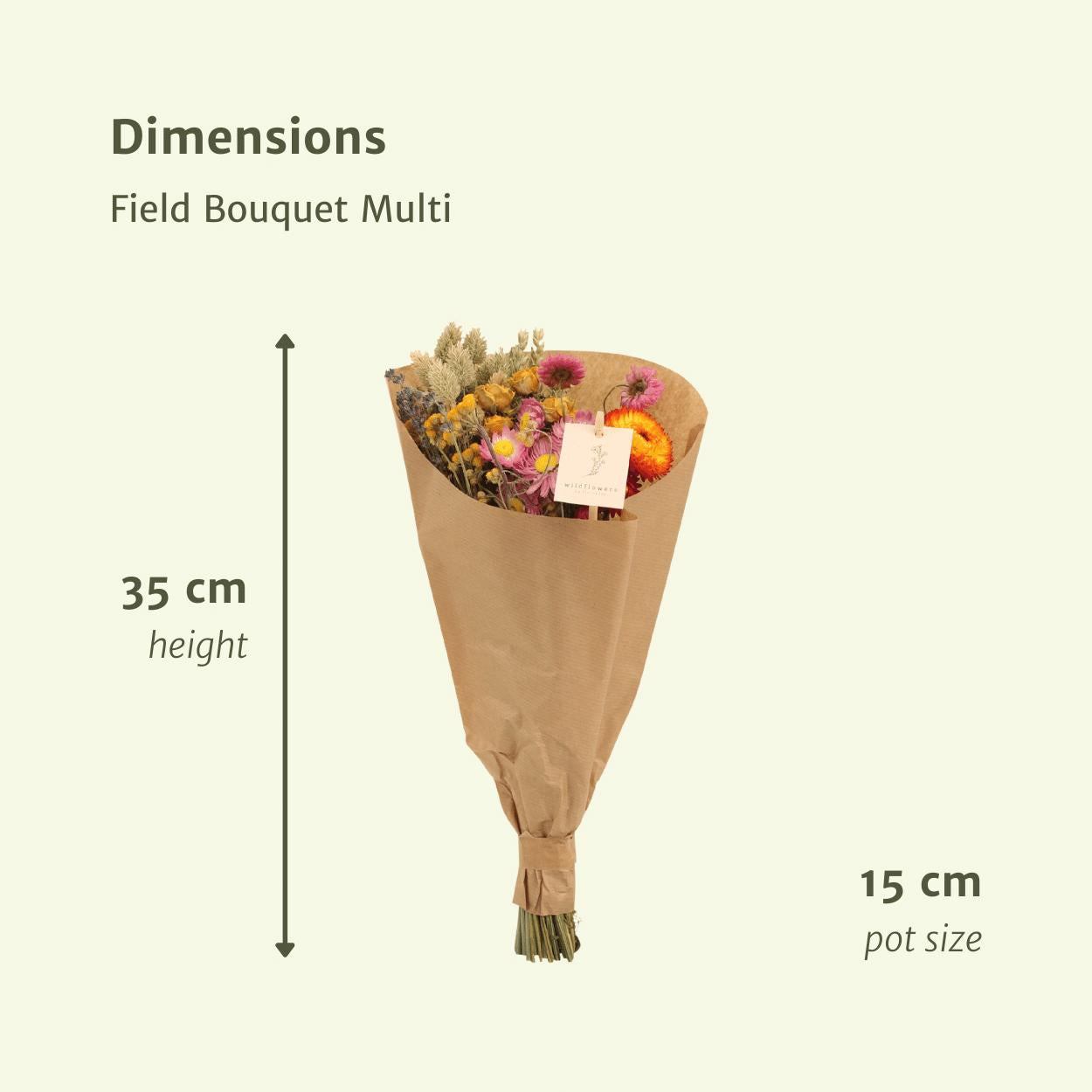 Trockenblumen - Feldstrauß Multi - Ø15 - ↨35cm