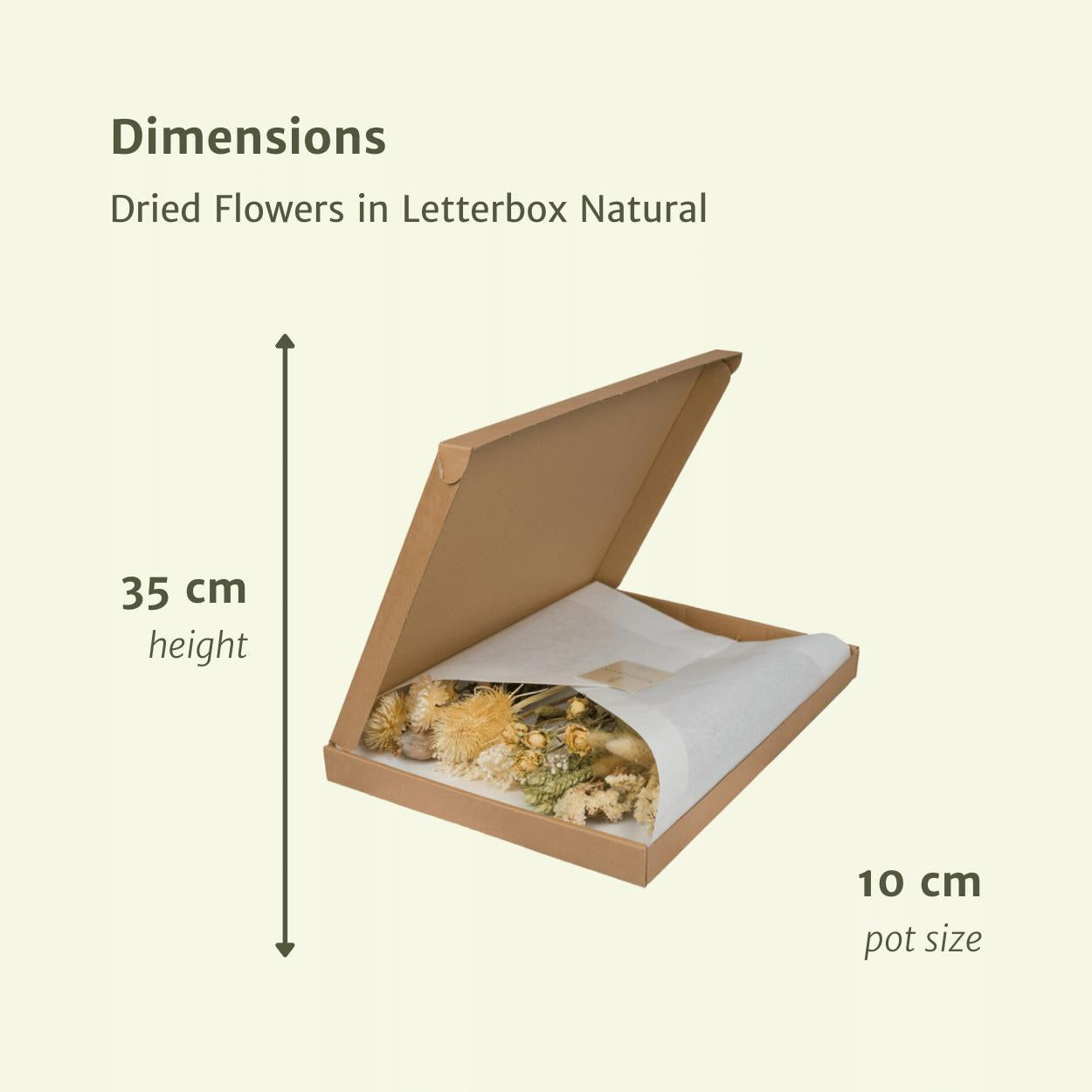 Trockenblumen - Briefkasten Multi - Naturral