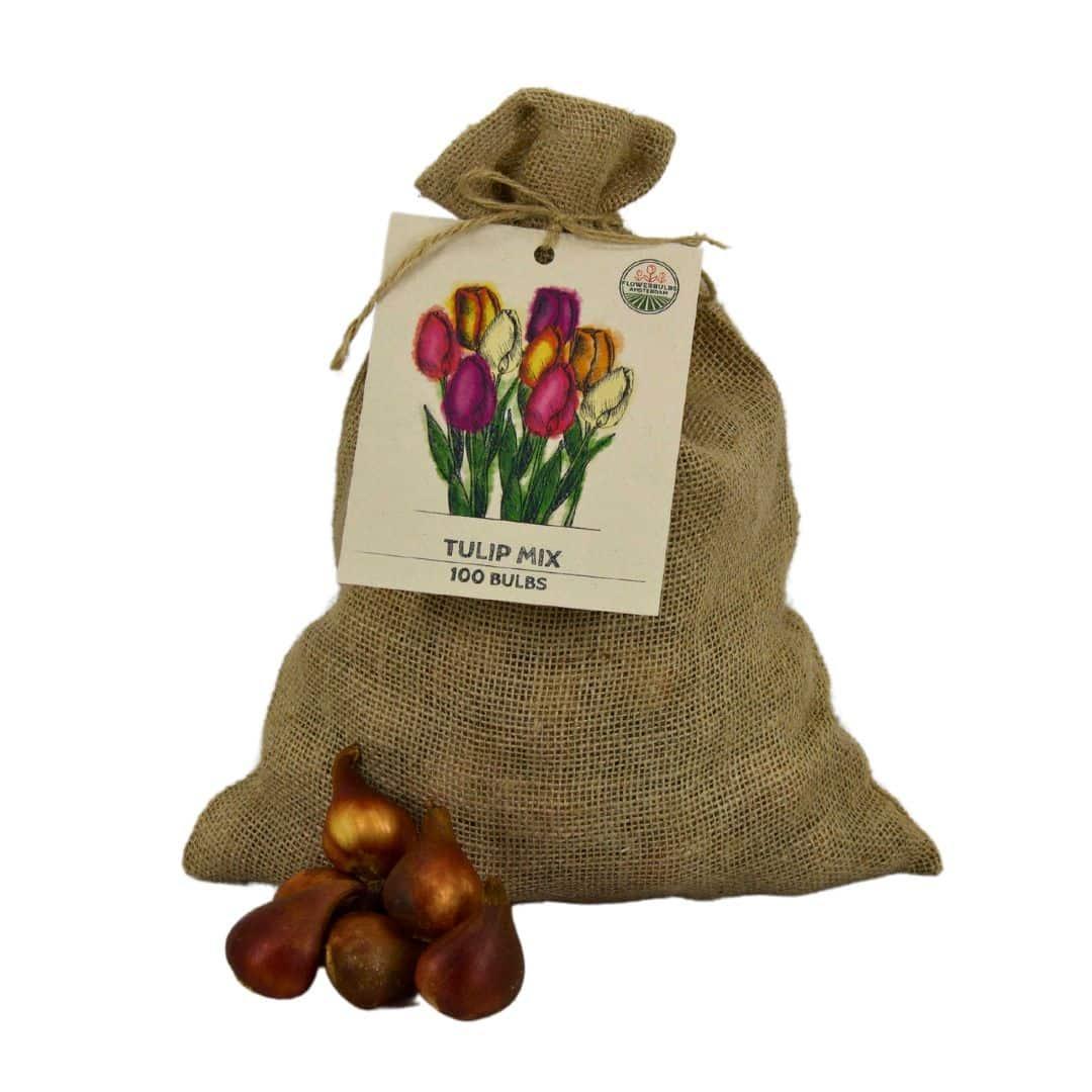 Tulpen Mix - Vorteilspackung, 100 Blumenzwiebeln für 2,5 qm Blumenpracht - Größe 12+