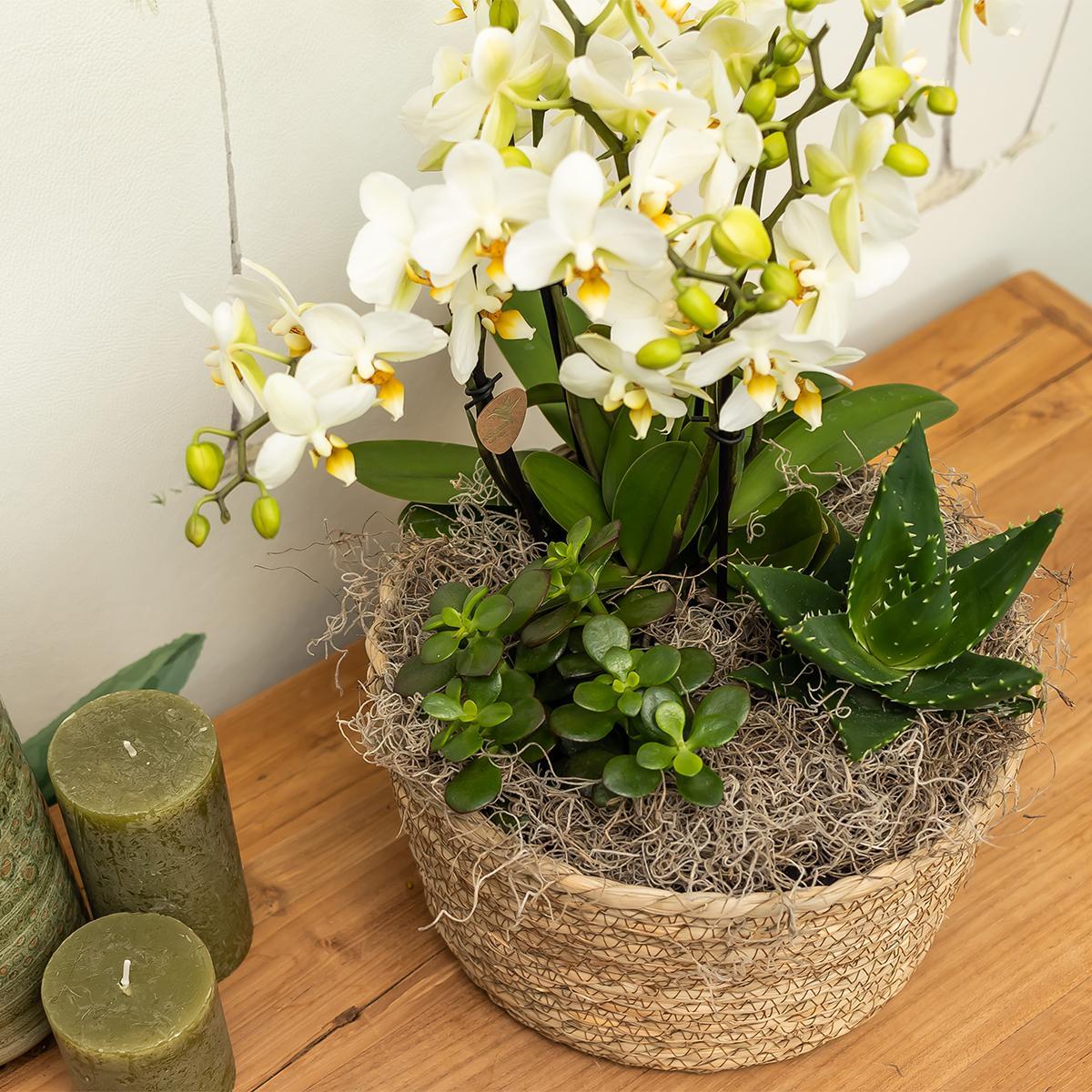 Reed Basket Blumenschale - dekorative Schale aus Korbgeflecht - Durchmesser Ø30cm