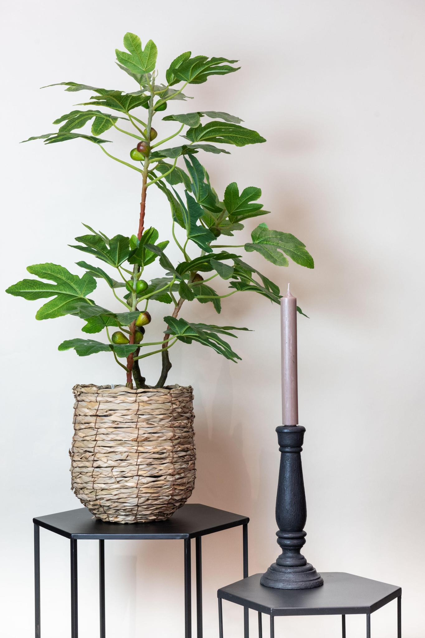 Kunstpflanze - Ficus Carica - Feigenbaum - 95 cm