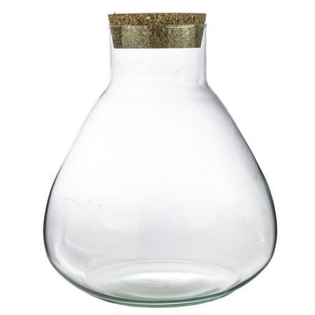 Terrarienflasche - Terrarium bottle  - Model: Sammie -  Closed terrarium ↑ 26,5 cm