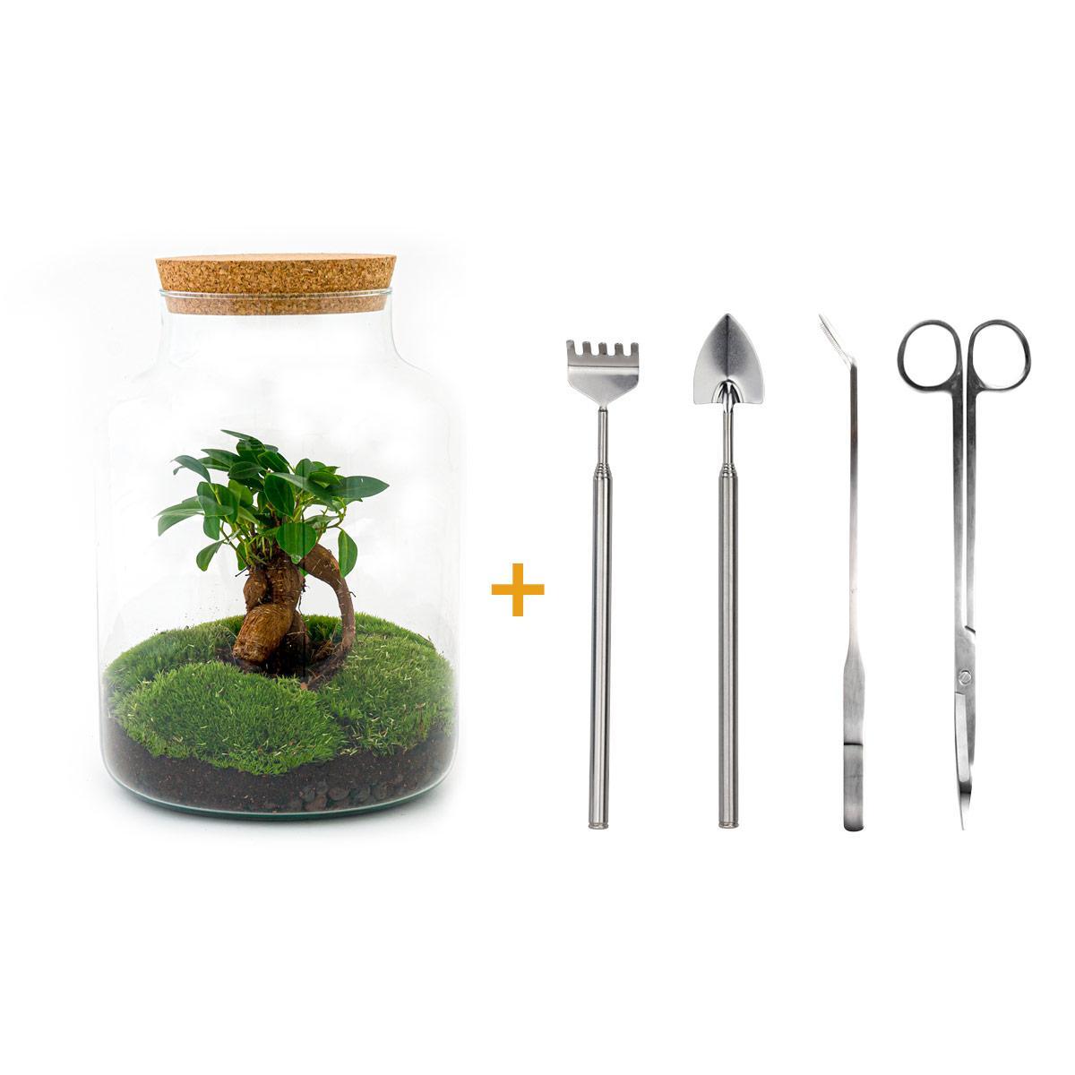 Flaschengarten - Milky mit bonsai - ↕ 30 cm - Rake + Shovel + Tweezer + Scissors