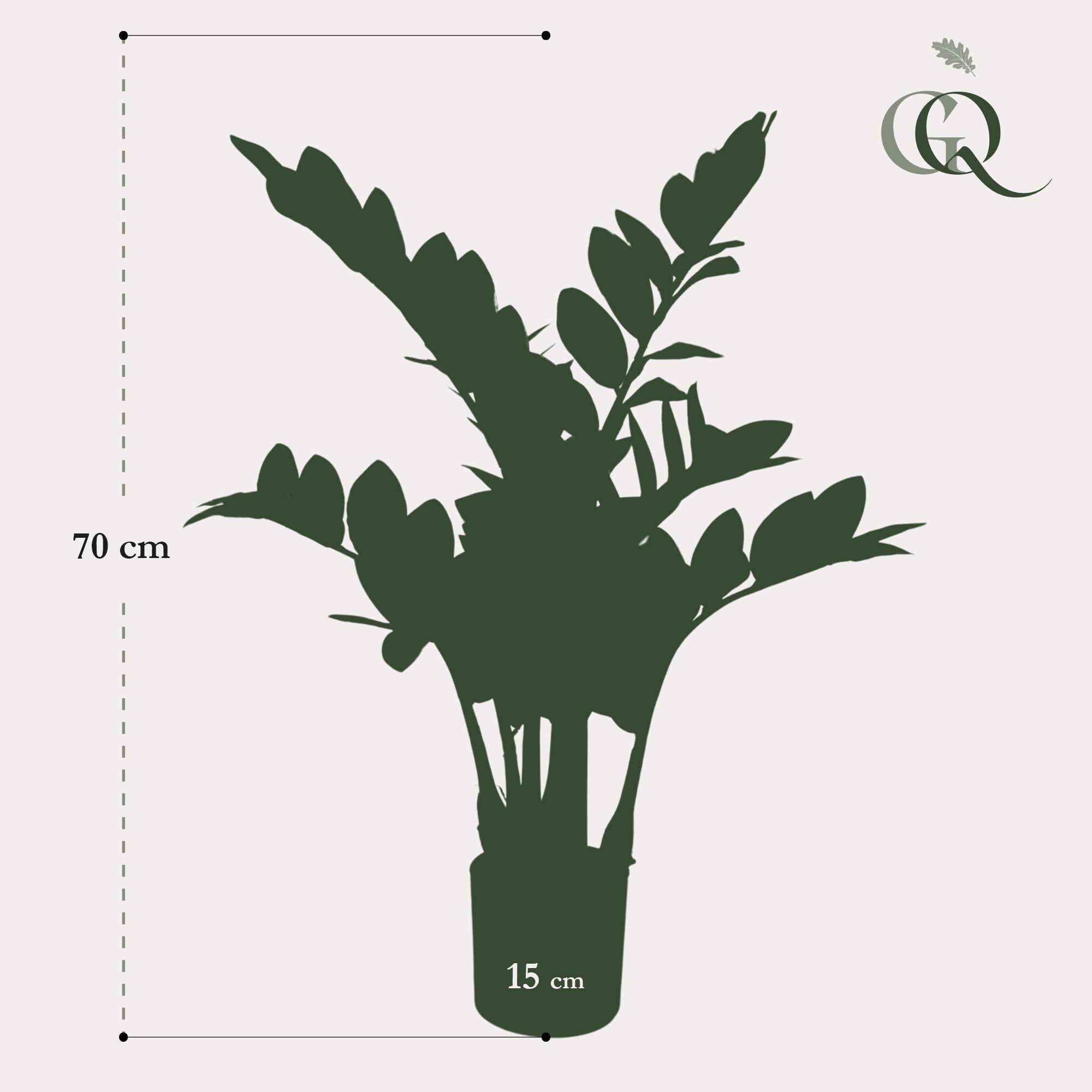 Kunstpflanze - Zamioculcas - Zimmerpalme - 70 cm