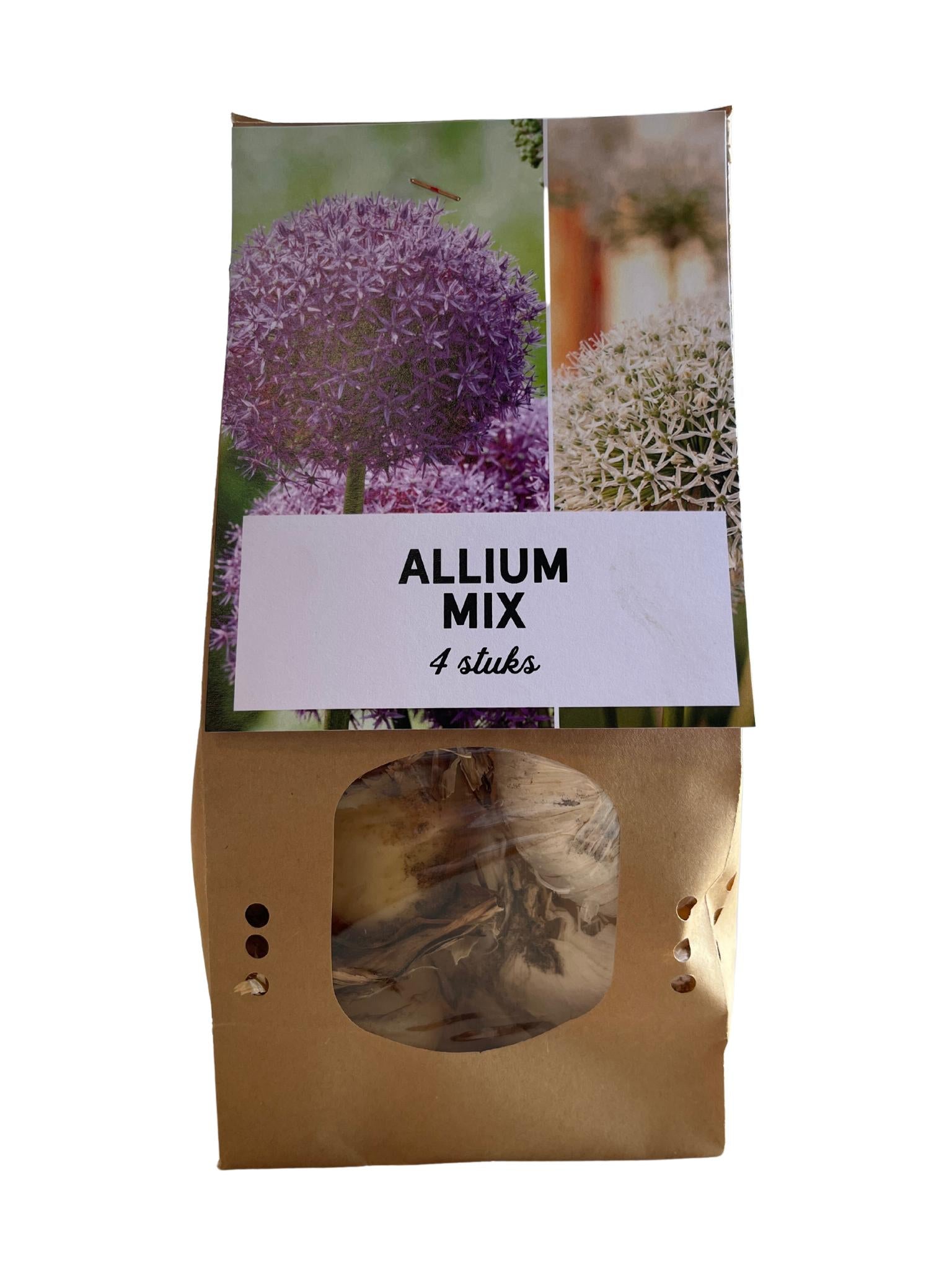 Zierlauch Mix  - Allium - Mix    Zwiebelknollen 4 stück