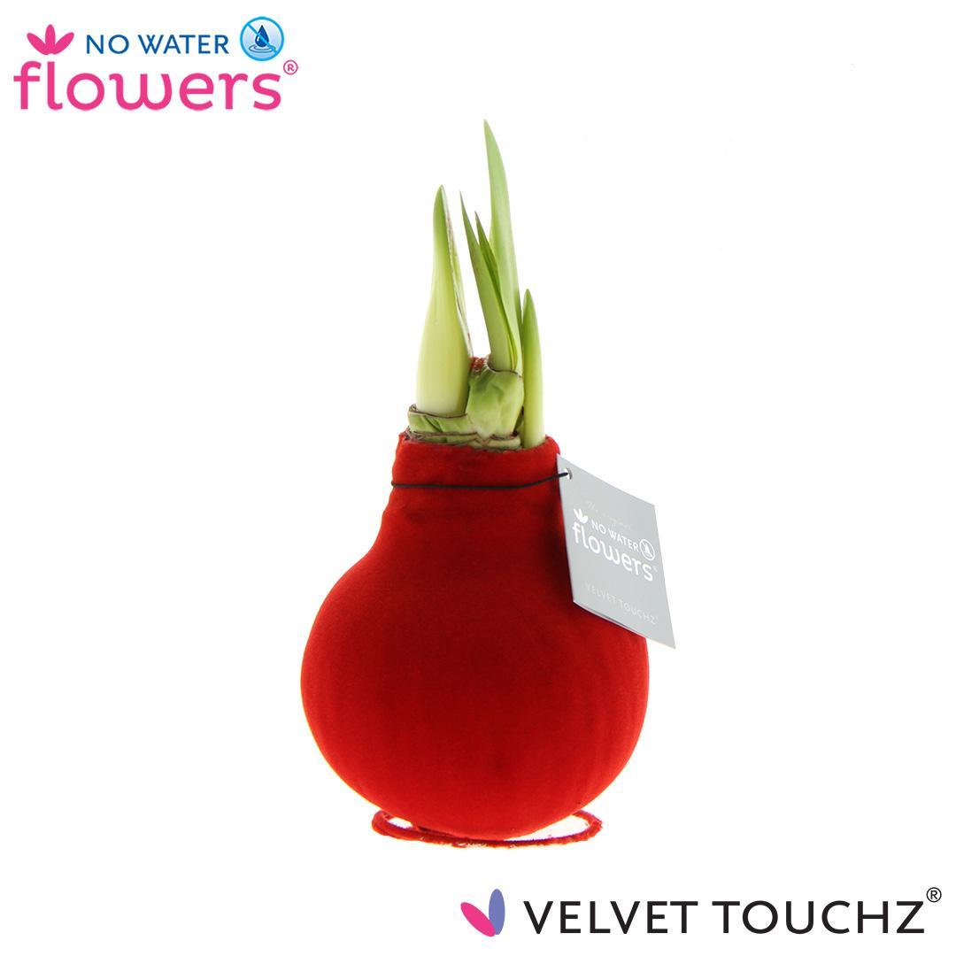 No Water Flowers Velvet Touchz® Red - ↕15cm