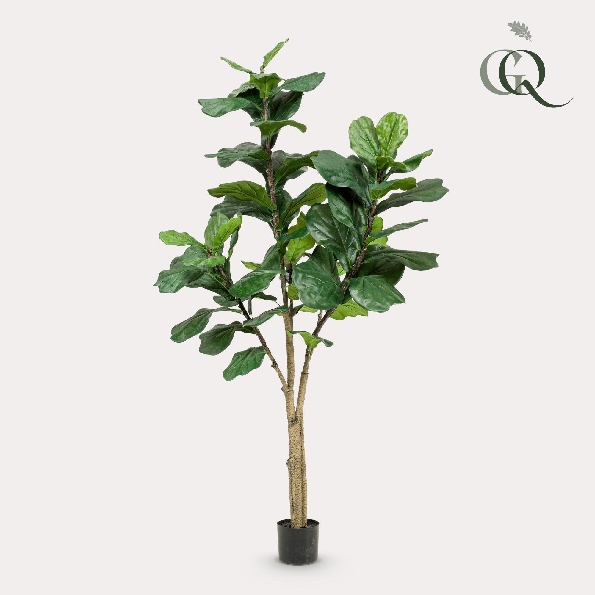 Kunstpflanze - Ficus Lyrata - Tabakspflanze - 180 cm