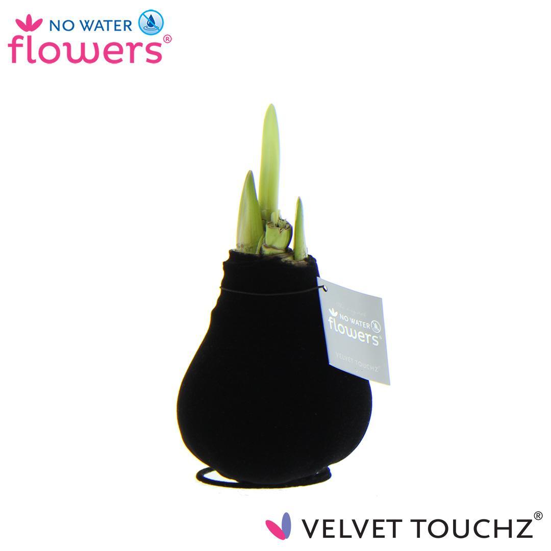 No Water Flowers Velvet Touchz® Black - ↕15cm