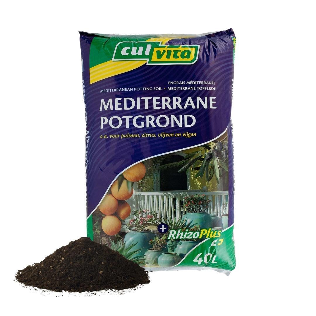 Blumenerde - Mediterrane Blumenerde 40 Liter inklusive RhizoPlus - Blumenerde für mediterrane Pflanzen u.a. geeignet für Olivenbäume, Zitruspflanzen und Palmen