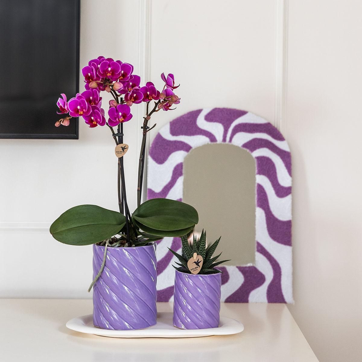 Orchidee Geschenkset Optimismus Klein Lila | Grüne Pflanze mit orangefarbener Phalaenopsis Orchidee in Candy Zierpflanzentöpfen auf weißem organischen Tablett