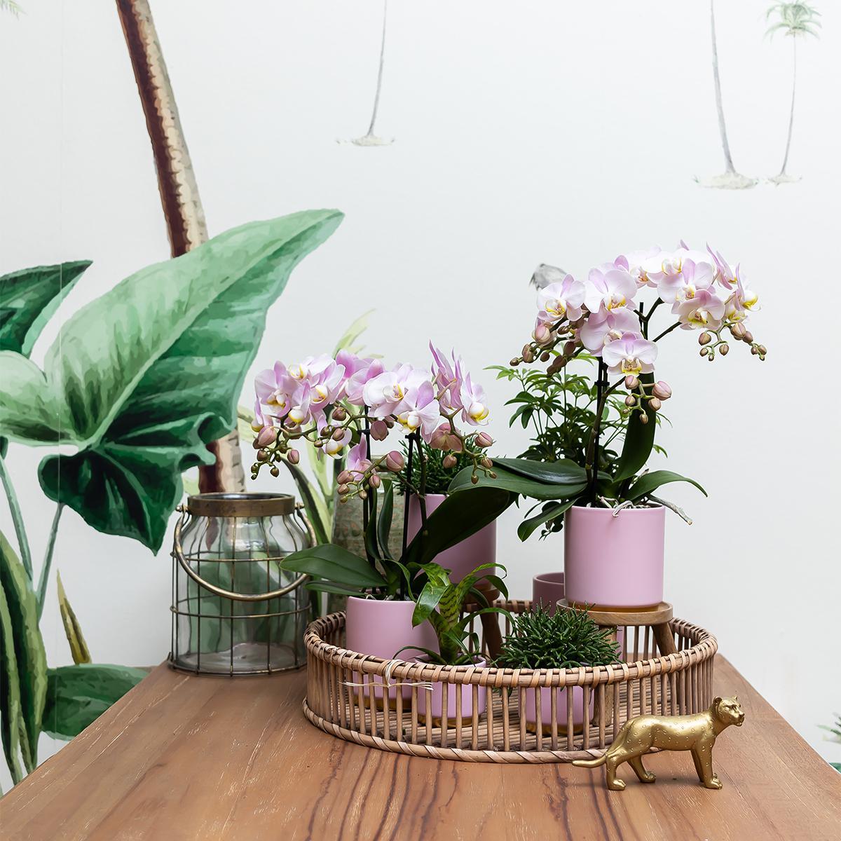 Kolibrie Thuis | Roze bloempot met goudpoot - Roze keramiek pot met gouden rand - Ø9cm