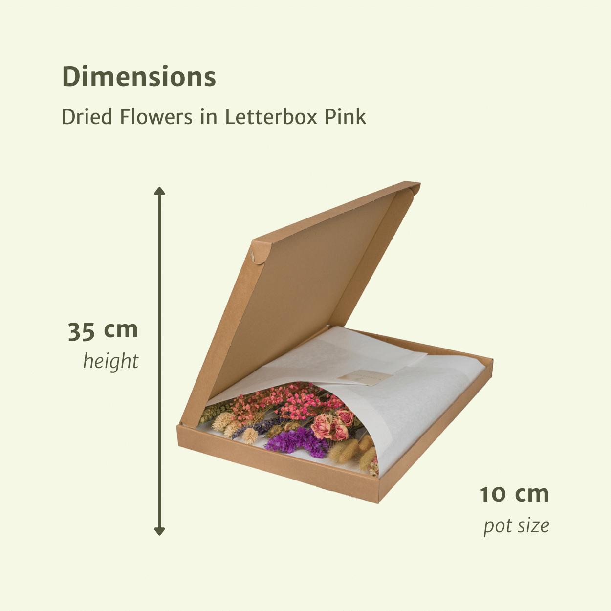 Trockenblumen - Briefkasten Multi - Pink