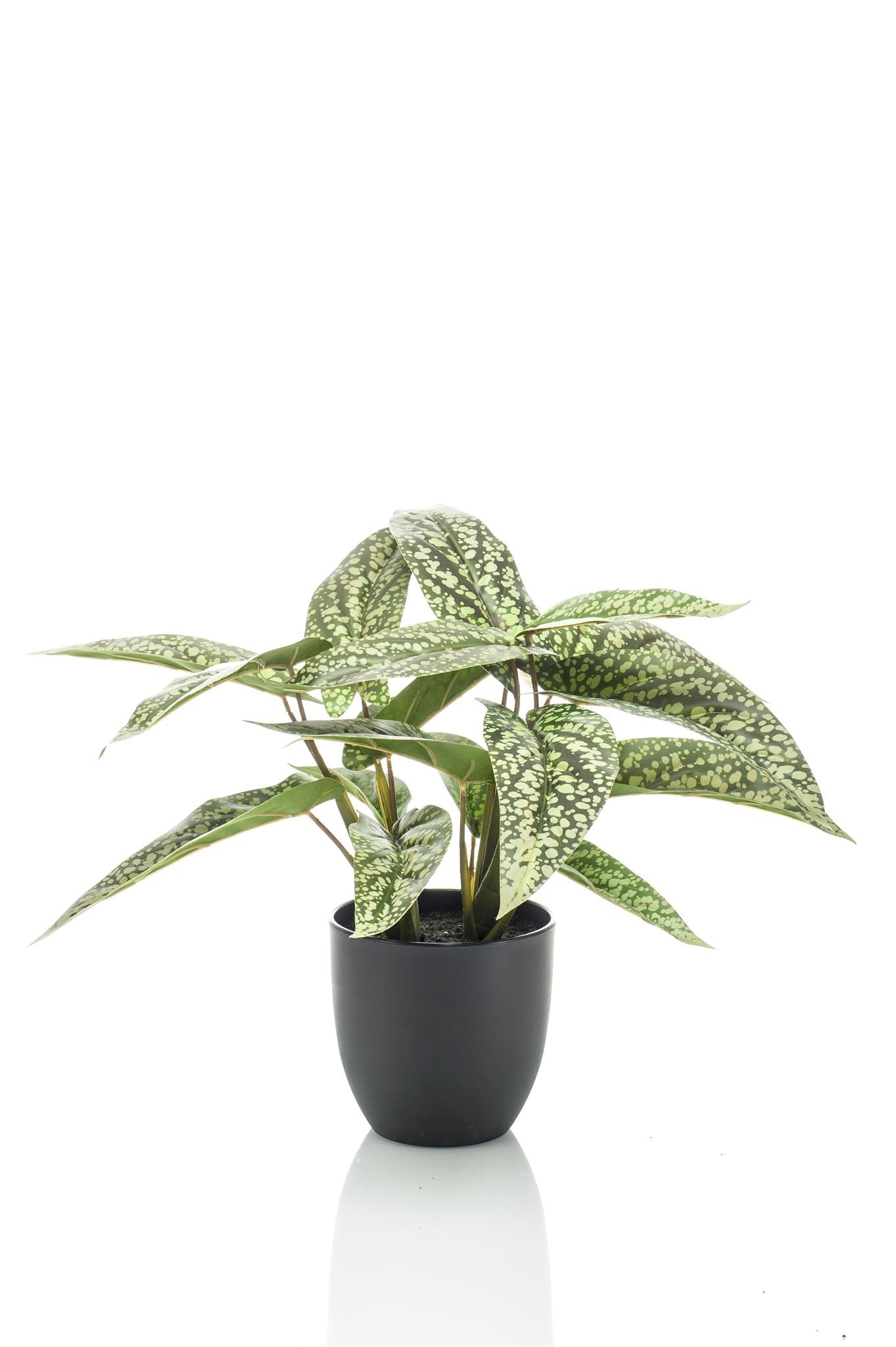 Kunstpflanze - Calathea Dots - 38 cm