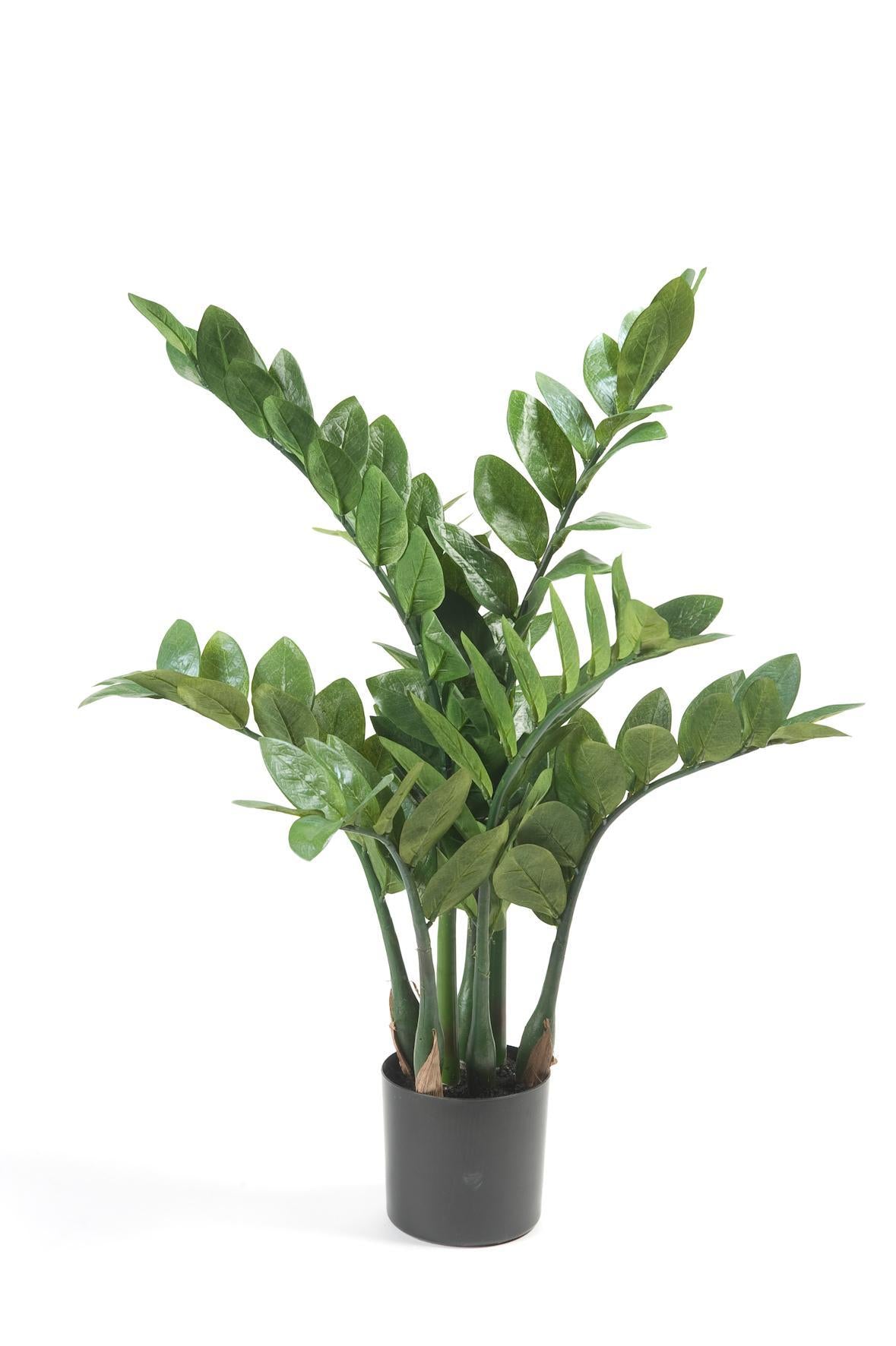 Kunstpflanze - Zamioculcas - Zimmerpalme - 70 cm