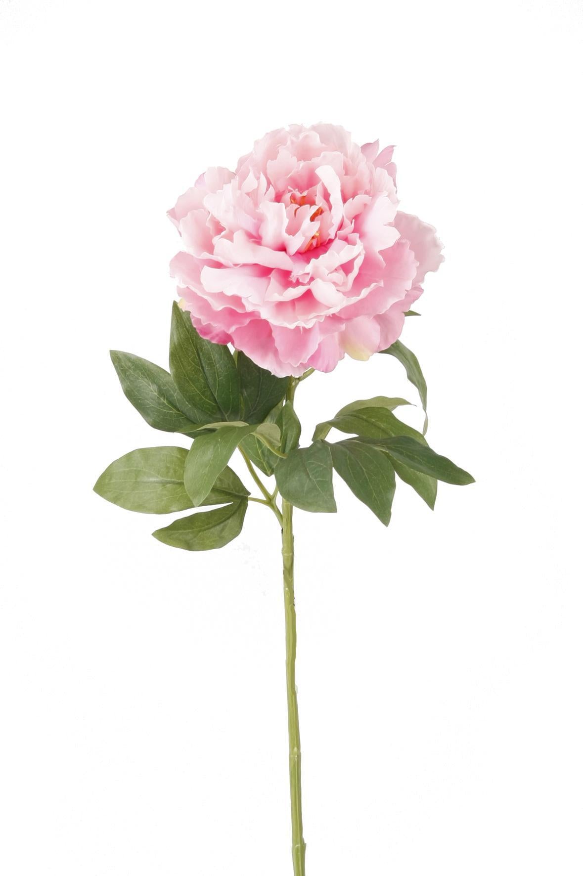 Kunstblumen Solo – Blumenstrauß – Pfingstrosen Rosa – x 5 – 65 cm